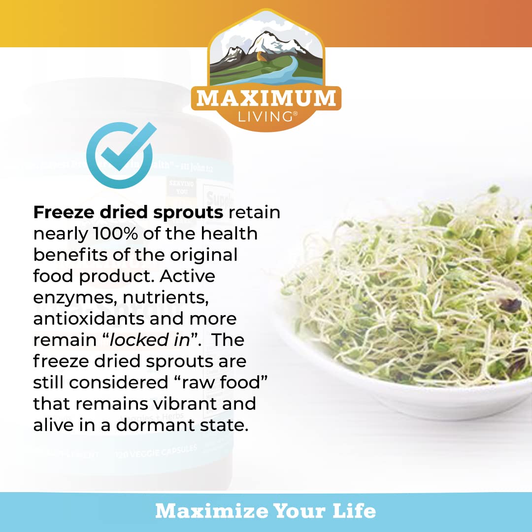 Maximum Living - Vita-Sprout Whole-Food Multivitamin & Phytonutrient Blend - 120 Capsules Maximum Living buy supplements canada