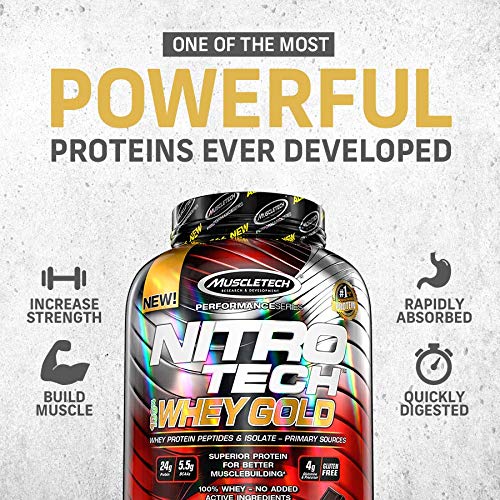 MuscleTech NitroTech 100% Whey Gold Protein Powder, Build Muscle Mass, Whey Isolate Protein Powder Muscletech buy supplements canada