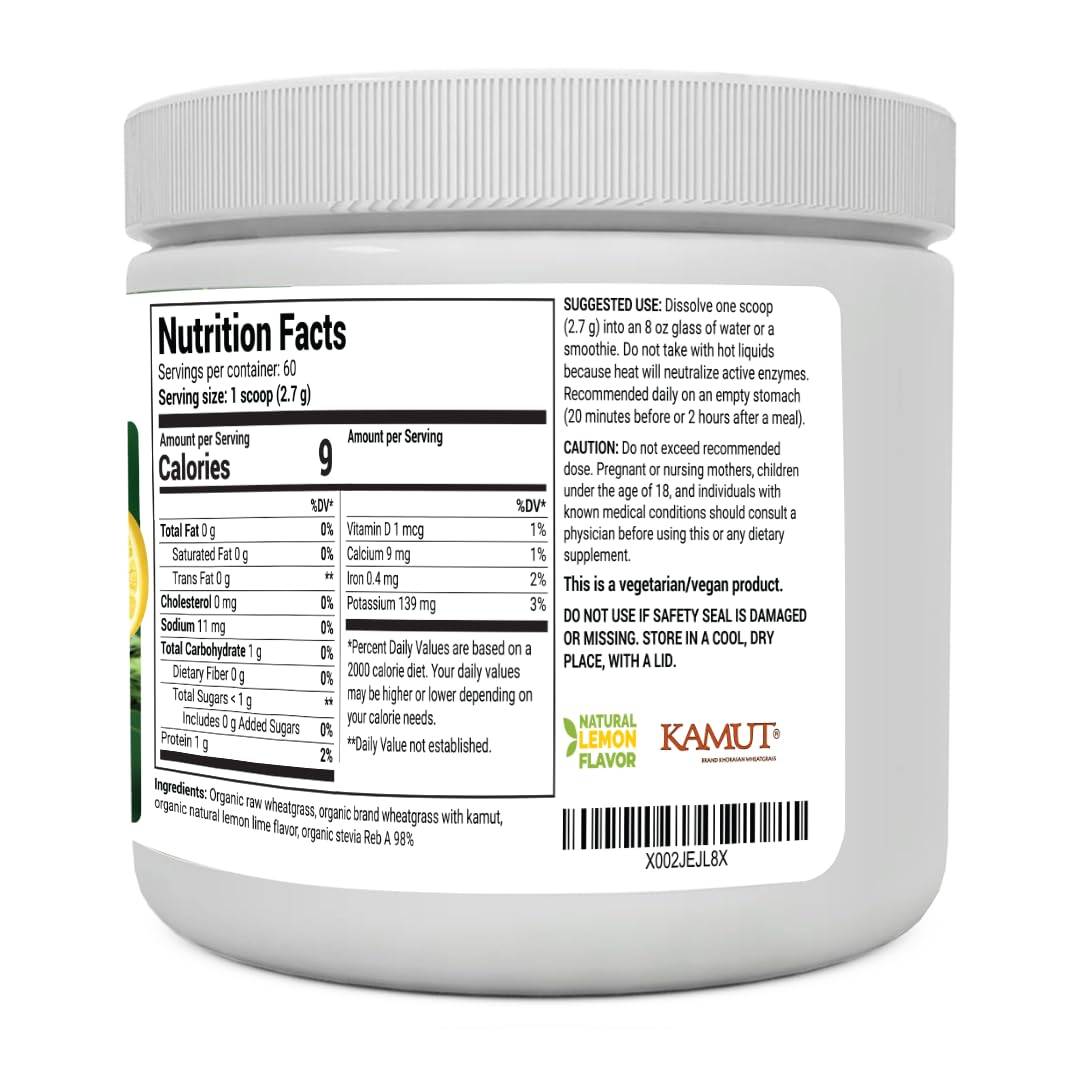 Dr. Berg's Raw Wheatgrass Juice Powder (60 Servings) - USDA Certified Organic Dr. Berg Nutritionals buy supplements canada