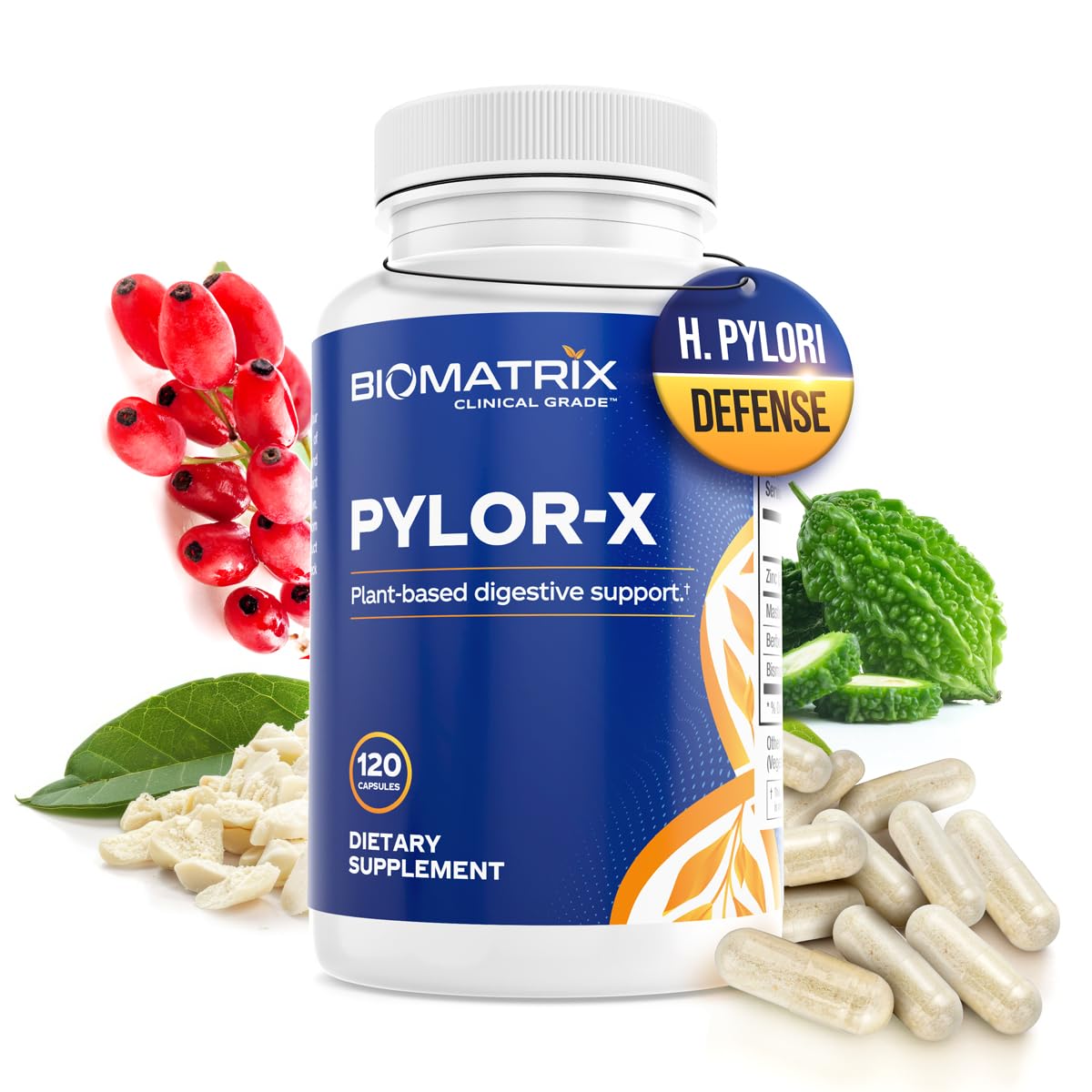 BioMatrix Pylor-X Gut Health Supplement – Mastic Gum, Berberine, Zinc Carnosine & Bismuth Salts for Gastric Support, Digestive Comfort, Stomach Lining Protection - (120 Capsules) 30-60 Day Supply BioMatrix buy supplements canada