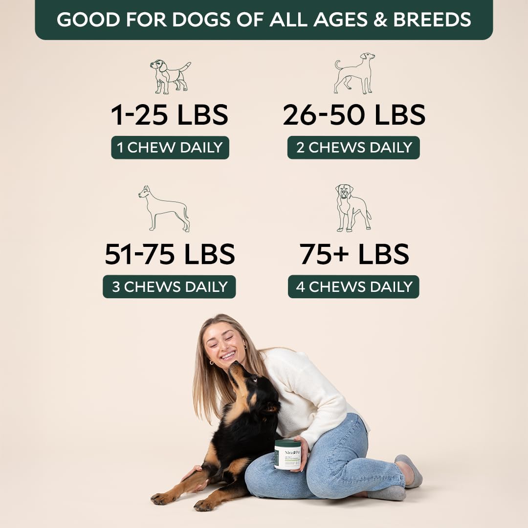 Nira Pet Probiotics for Dogs – 60 Beef-Flavored Chews with Postbiotics, Colostrum, Ashwagandha & Lactobacillus – Supports Gut Health, Immunity, Diarrhea, Gas & Stress Nira Pet buy supplements canada