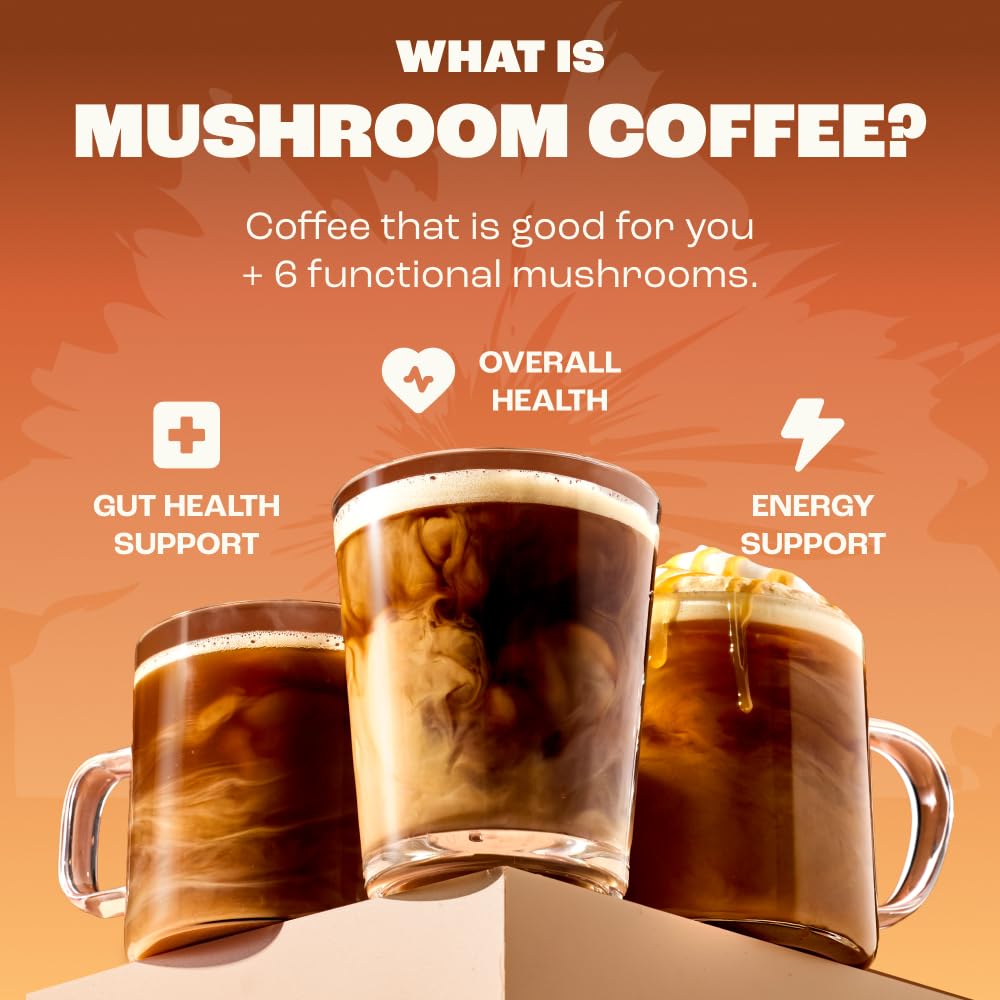 RYZE SUPERFOODS Mushroom Medium Roast Coffee USDA Organic with 6 Adaptogenic Mushrooms, USA Grown Instant Coffee for Better Energy RYZE SUPERFOODS buy supplements canada