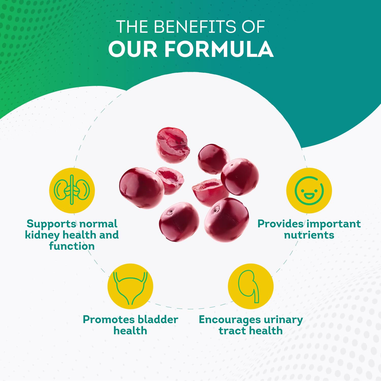 PurePremium Kidney Support Supplement for Men and Women - with Cranberry Extract PurePremium Supplements buy supplements canada
