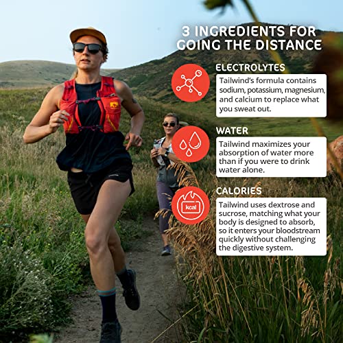 Tailwind Nutrition Endurance Fuel, Caffeine Drink Mix with Electrolytes Tailwind buy supplements canada