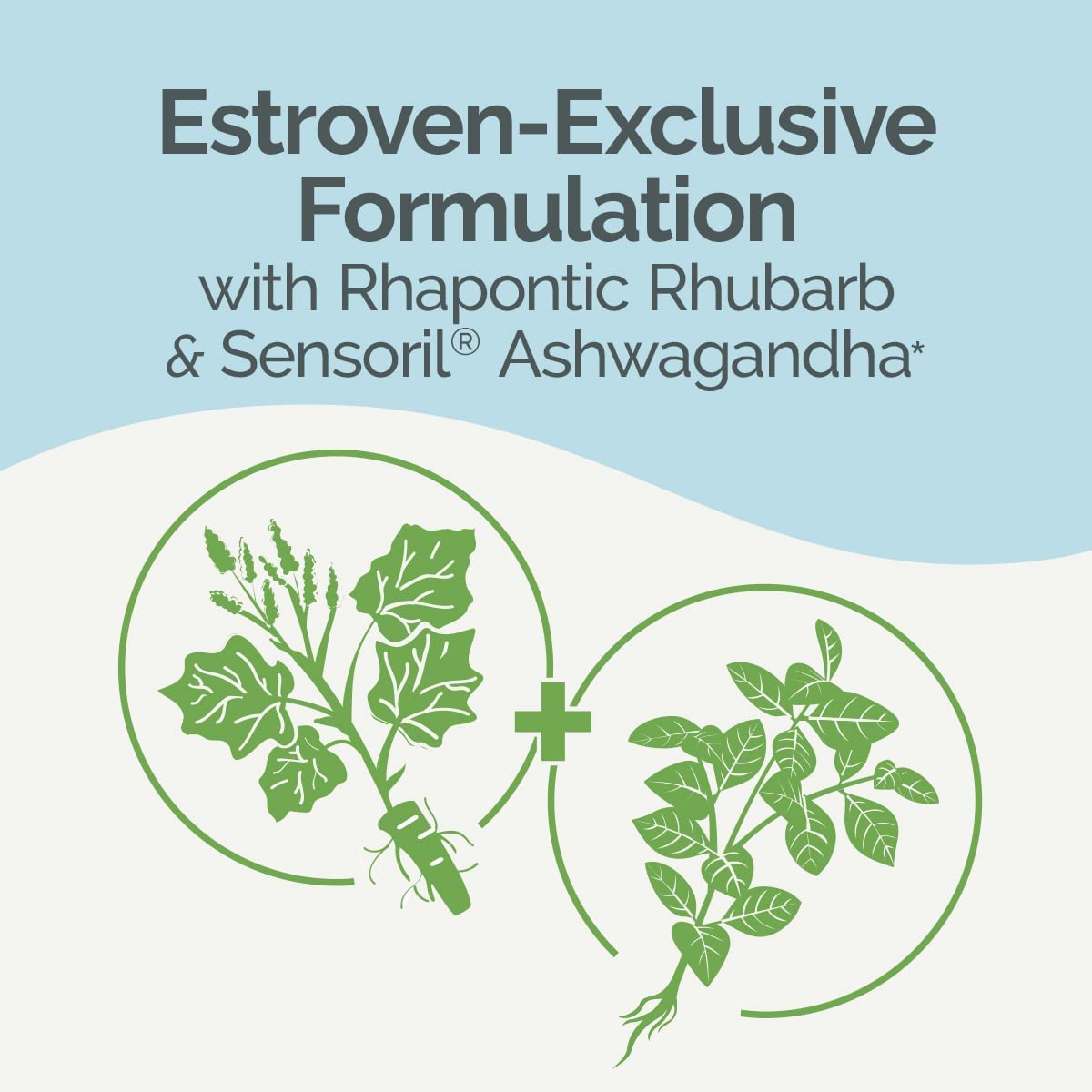 Estroven Complete + Ashwagandha Multi-Symptom Menopause Supplement for Women - 60 Ct. - Clinically Proven Ingredients Provide Menopause Relief & Night Sweats + Hot Flash Relief* - Drug-Free & Non-GMO Estroven buy supplements canada