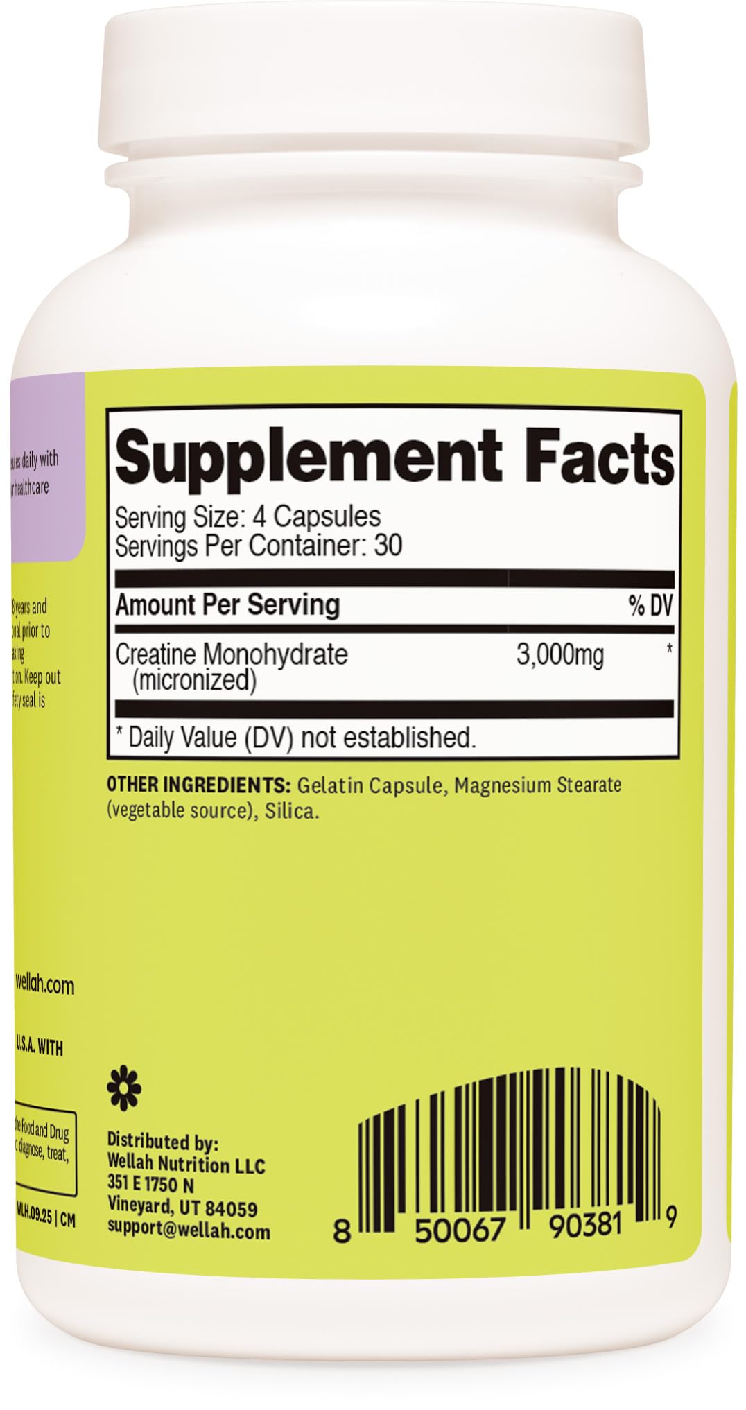 Wellah Creatine Monohydrate Capsules (3000 mg) 120 Capsules - Micronized Creatine, 30 Servings Wellah buy supplements canada