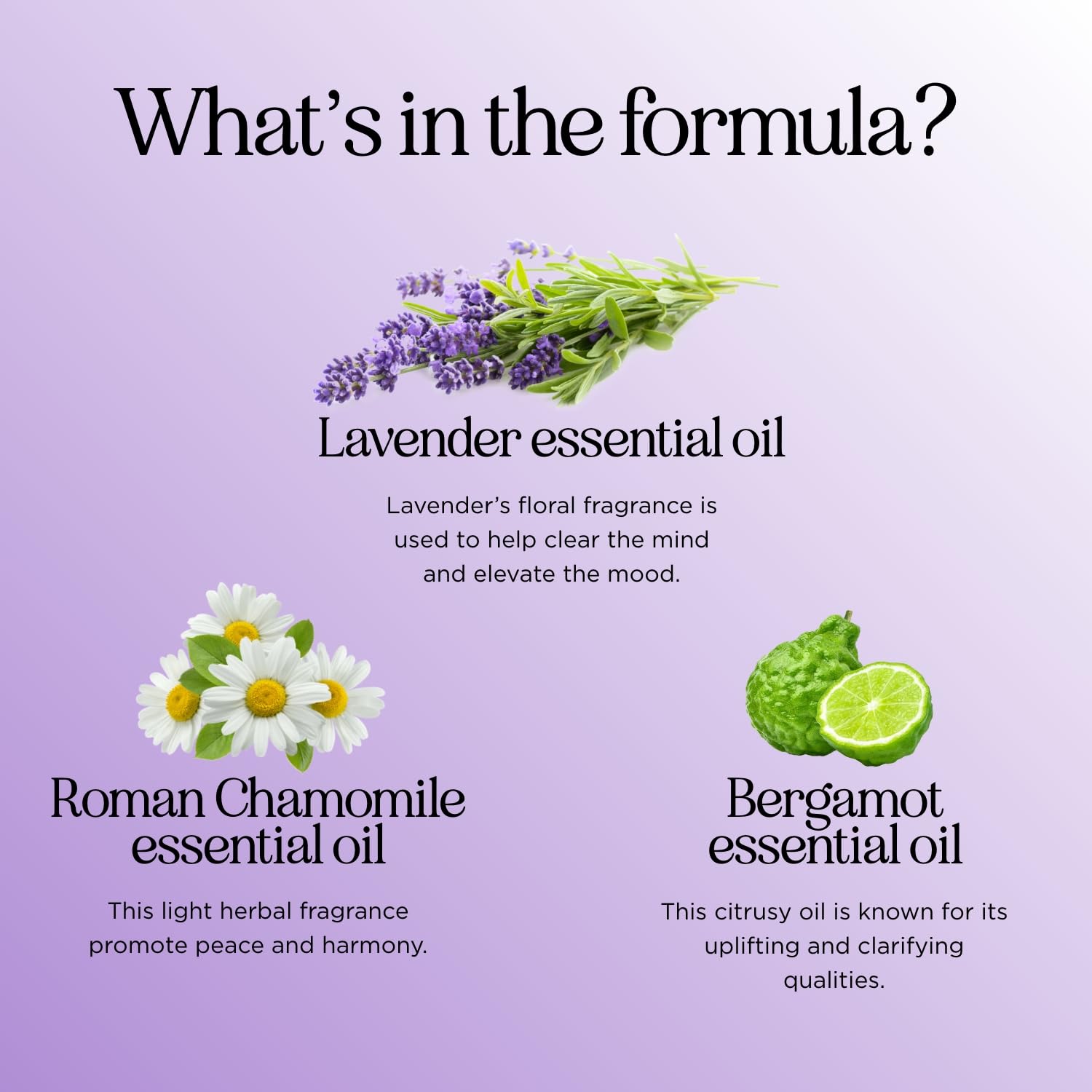 Sleep Essential Oil Blend for Diffuser - Snooze Blend Essential Oil for Sleep with Roman Chamomile Maple Holistics buy supplements canada