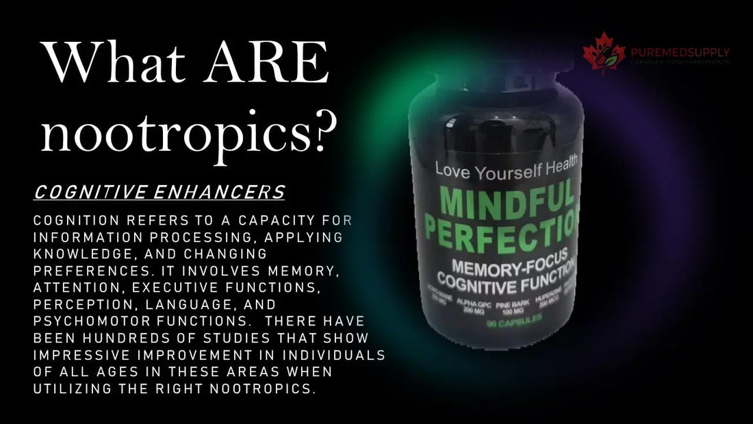 Love Yourself Health Mindful Perfection Premium Nootropic Brain Supplement, 90Count 45 Day Supply for Improved Cognitive Function, Focus, Memory & Energy Love Yourself Health buy supplements canada