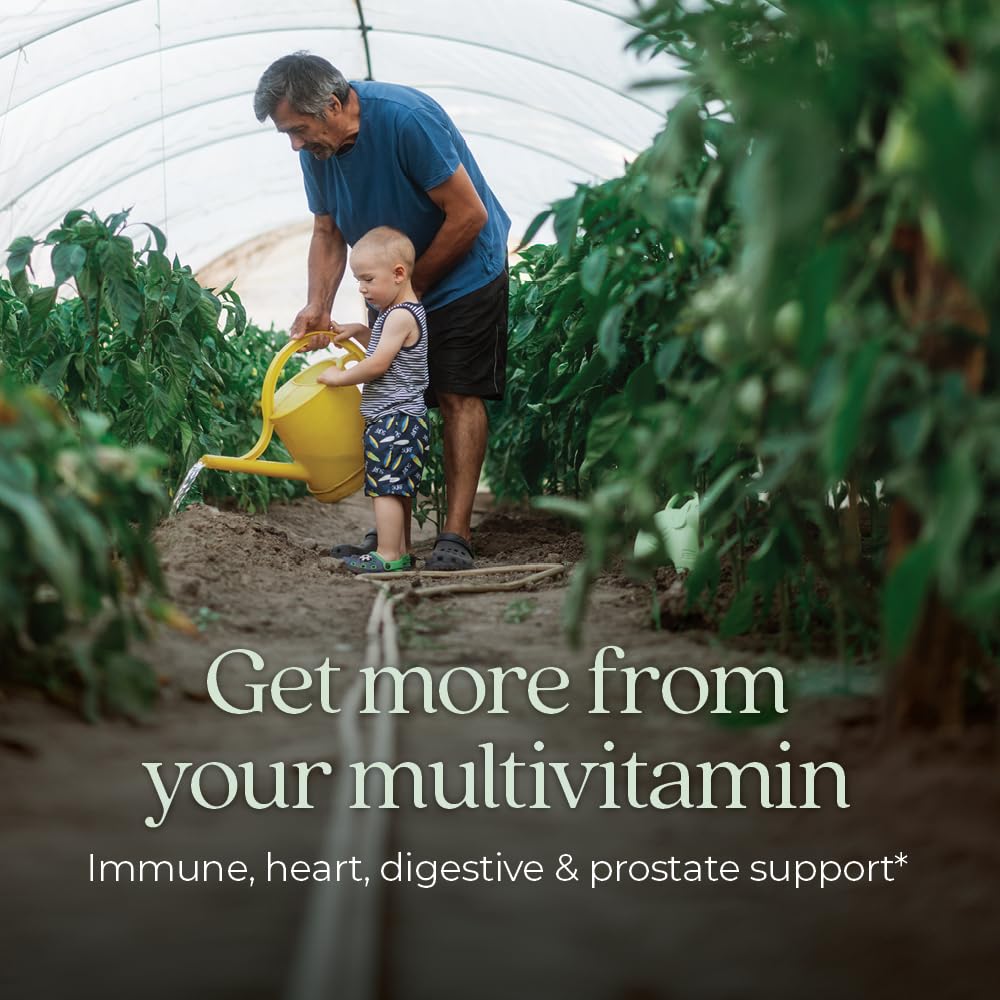 New Chapter Multivitamin for Men 50 Plus + Immune Support - Every Man's One Daily 55+ with Fermented Probiotics + Whole Foods + Astaxanthin New Chapter buy supplements canada