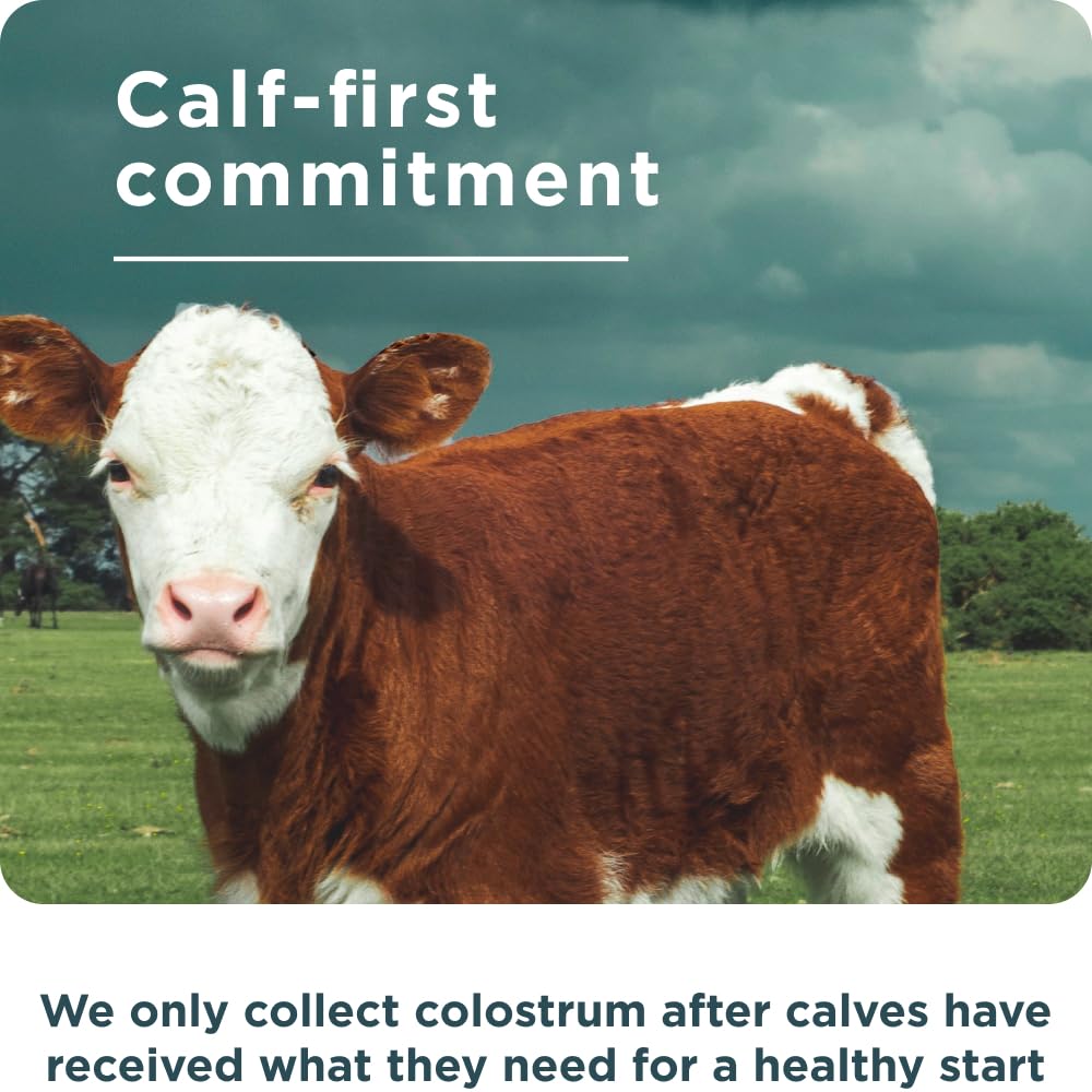 Ancient Nutrition Colostrum Superfood + Collagen, Grass Fed Bovine Colostrum, Fermented Eggshell Membrane Collagen, Supports Healthy Gut Ancient Nutrition buy supplements canada