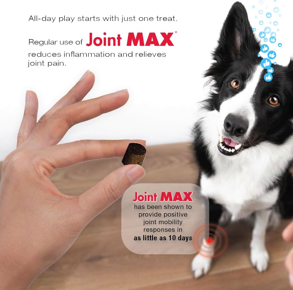 Joint Max TS Joint Supplement Vet Formulated Pain & Inflammation Relief Treats Hip Dysplasia & Arthritis, Glucosamine, Chondroitin, Turmeric, MSM, HA, Creatine, Omega 3 EPA + DHA.120 Soft Chews Joint Max buy supplements canada