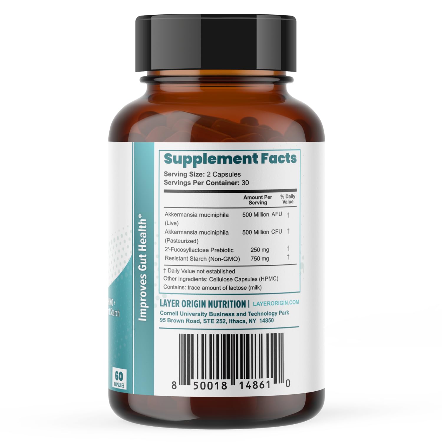 Layer Origin Akkermansia muciniphila Probiotic, with Both Live + Pasteurized Akkermansia and PureHMO Prebiotic, Validated Strain, Updated 4-in-1 Formula Layer Origin buy supplements canada