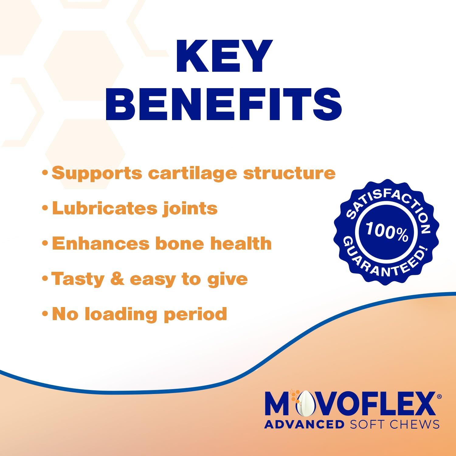 MOVOFLEX Advanced Soft Chews Hip Joint Support Supplement for Large Dogs 60 Count by Virbac MOVOFLEX buy supplements canada