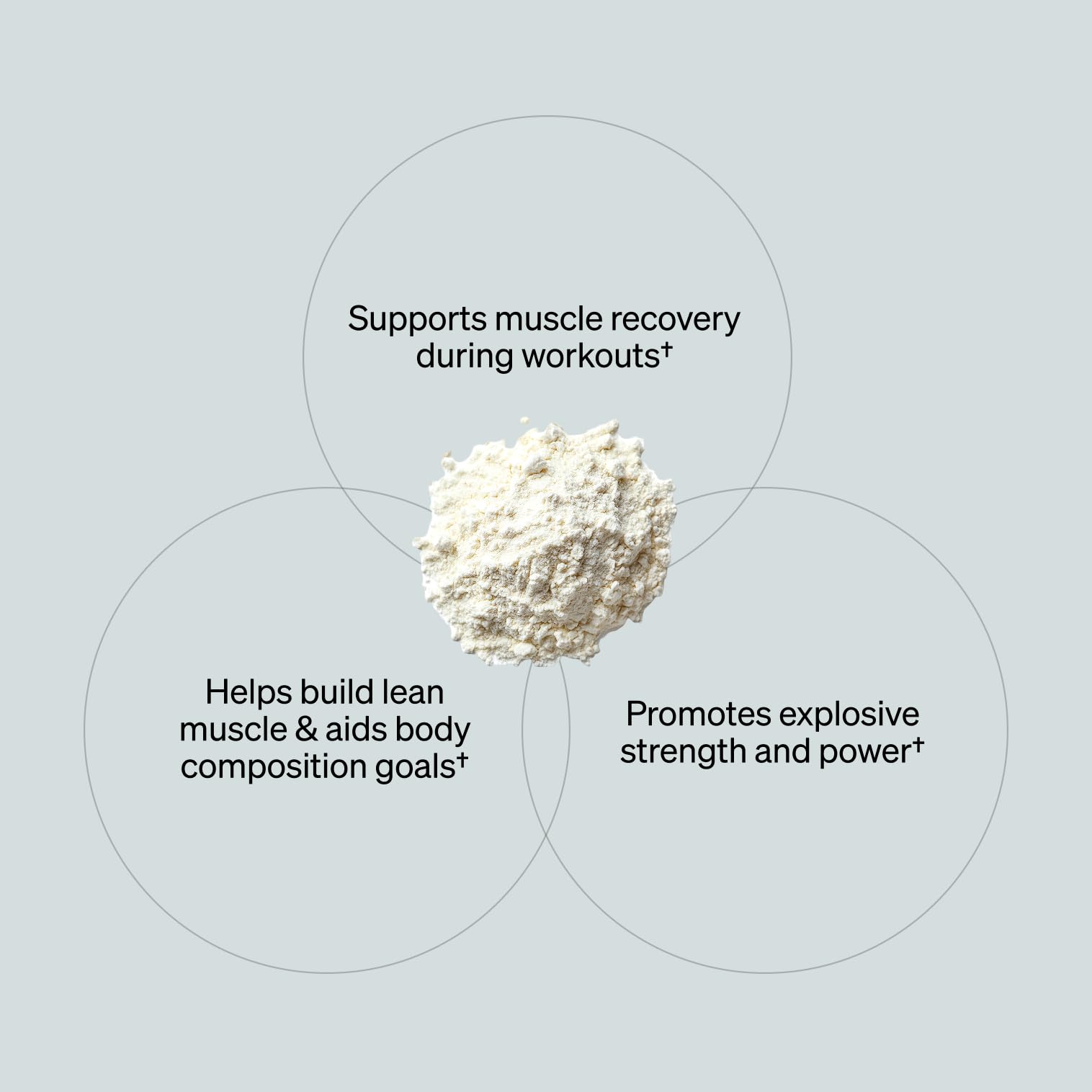 ONNIT Creatine Monohydrate Powder – Unflavored, 90-Serving Value Size – Supports Strength, Lean Muscle, and Brain Energy† – Keto Friendly, No Fillers, 90 Servings, 15.29 oz ONNIT buy supplements canada