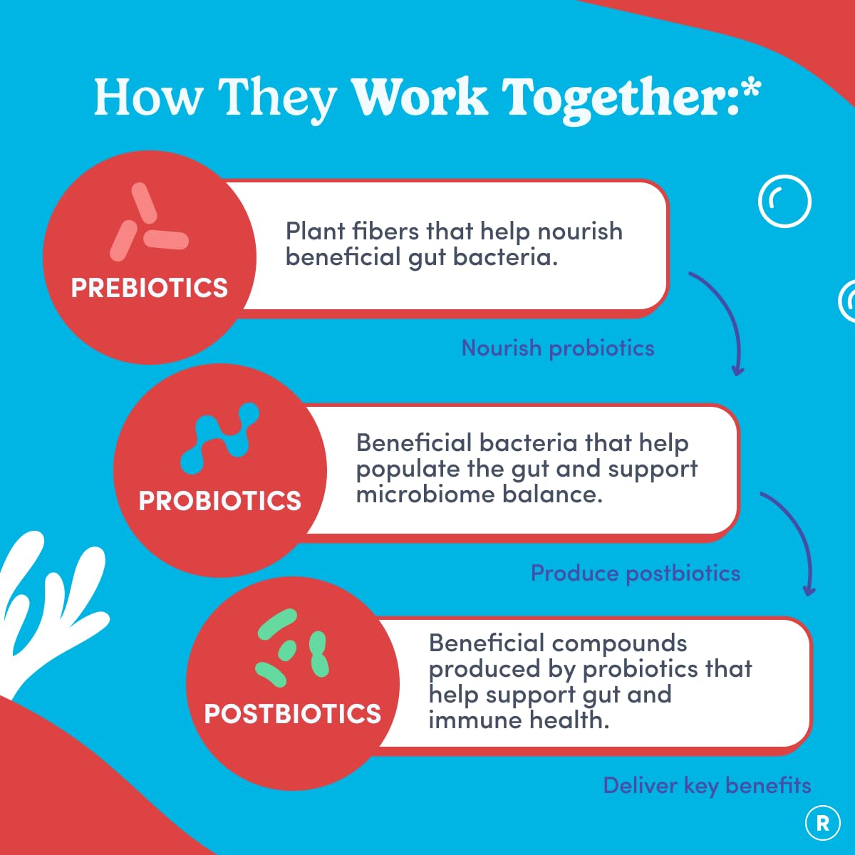 FIRST DAY Teens’ Gut Sustainer Tribiotic Gummies – 3-in-1 Prebiotic, Probiotic & Postbiotic Supplement – Supports Digestive, Skin, Oral & Immune Health, Nutrient Absorption & Growth – 60-Day Supply FIRST DAY buy supplements canada