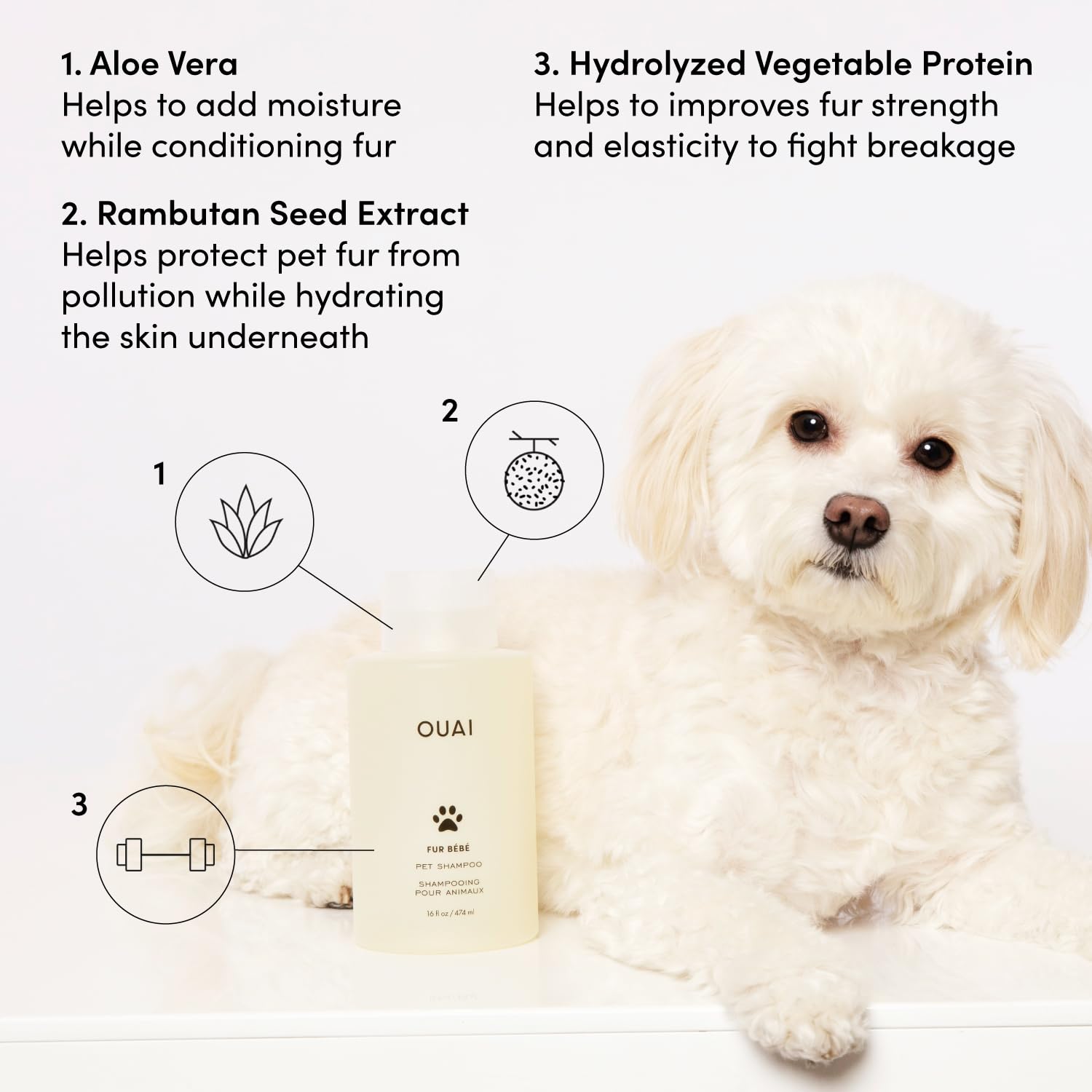 OUAI Fur Bébé Pet Shampoo, Mercer Street Scent - Dog Shampoo and Coat Wash for Hydrating, Cleansing and Adding Shine - Pet Supplies by OUAI (16 Fl Oz) OUAI buy supplements canada