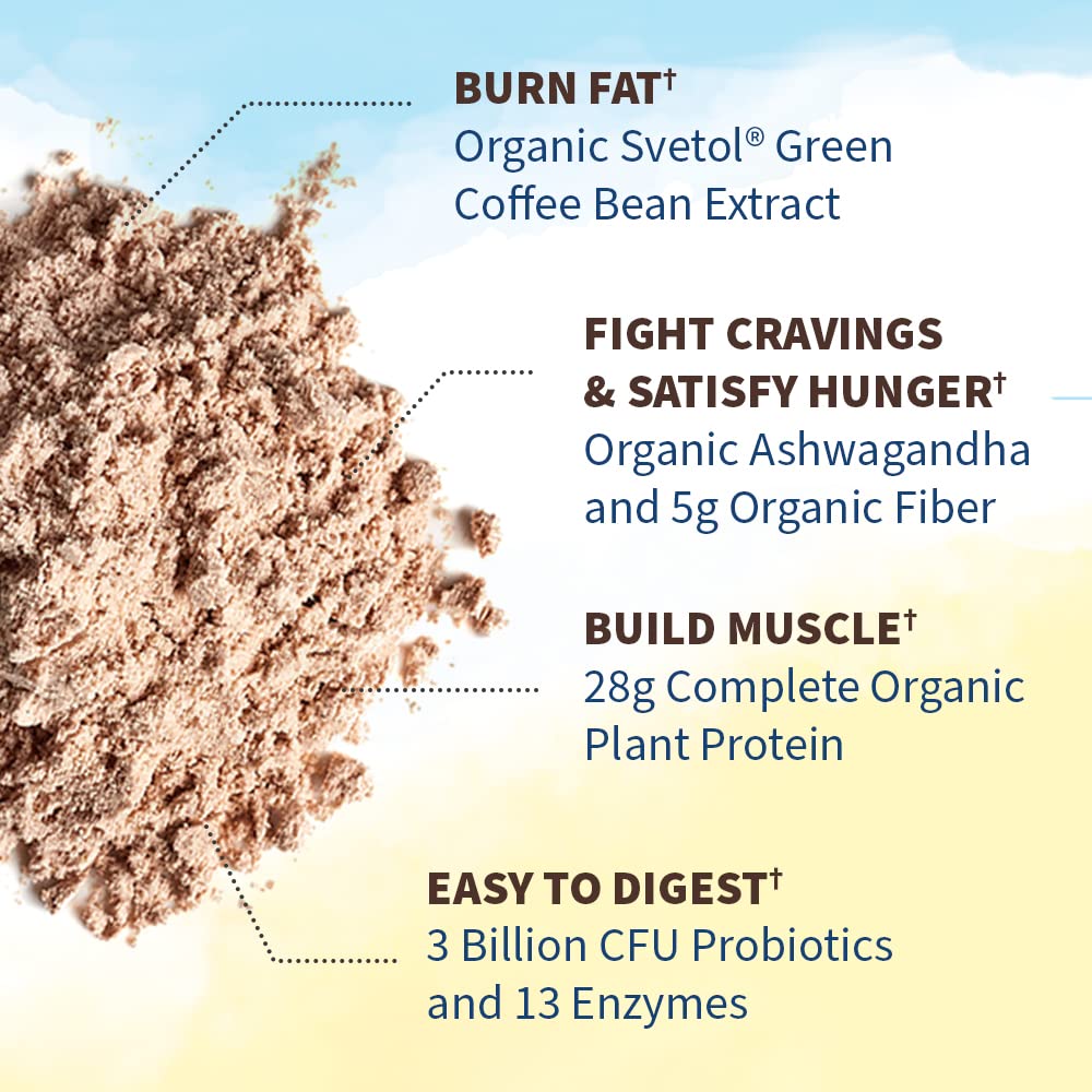 Garden of Life Raw Organic Fit Vegan Protein Powder Chocolate, 28g Plant Based Protein Garden of Life buy supplements canada