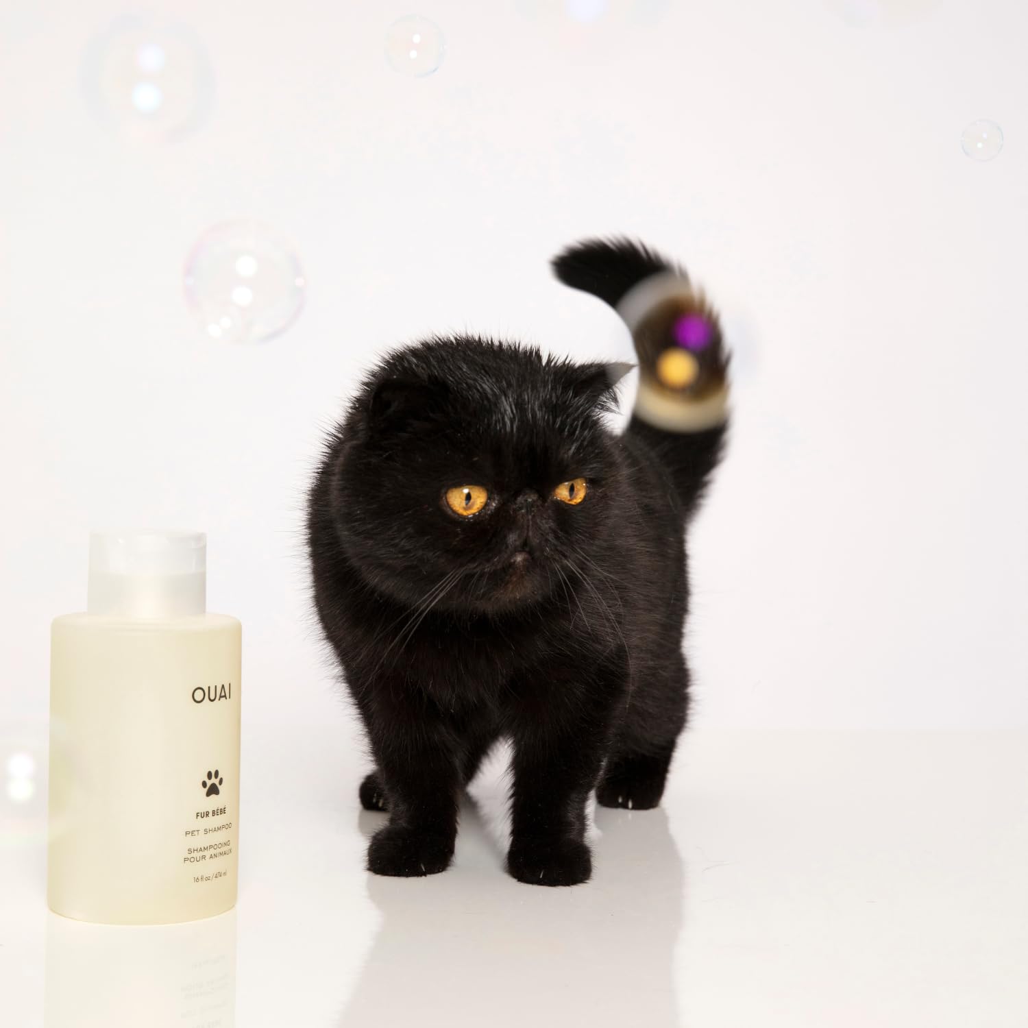 OUAI Fur Bébé Pet Shampoo, Mercer Street Scent - Dog Shampoo and Coat Wash for Hydrating, Cleansing and Adding Shine - Pet Supplies by OUAI (16 Fl Oz) OUAI buy supplements canada