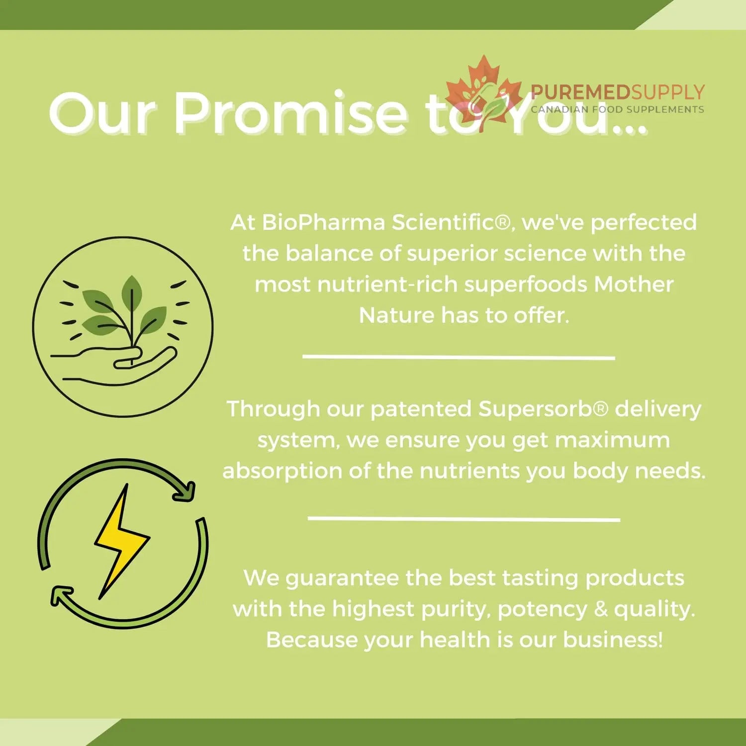 NanoMeal Plant-Based All-in-One Nutrition | Superfood Meal Replacement Powder | Tropical Fruit Blend | 10 Servings | Protein, Greens & Omega for Gut & Immune Support Biopharma Scientific buy supplements canada