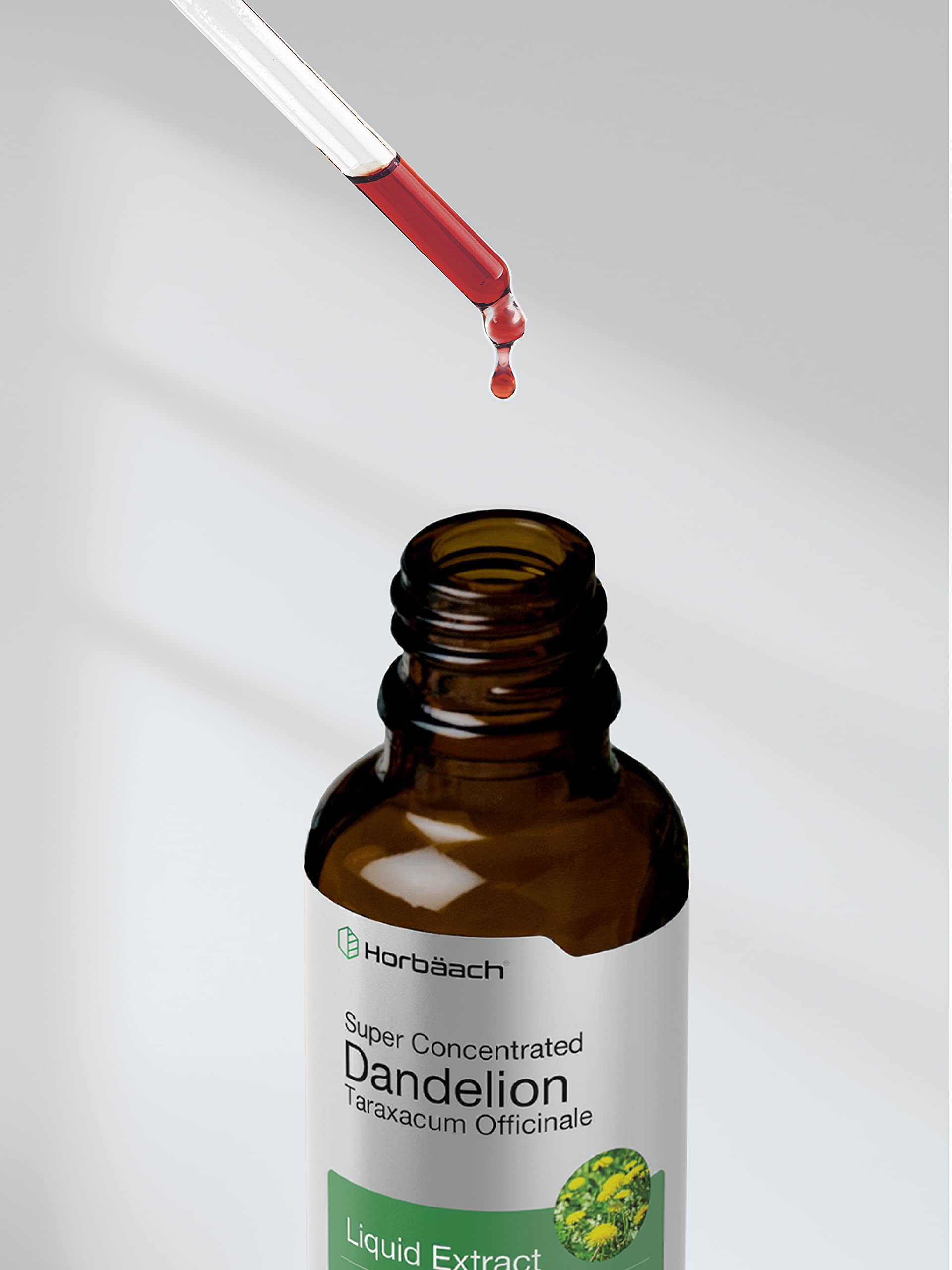 Dandelion Root Extract | 2 fl oz | Super Concentrated | Alcohol Free Liquid Tincture Horbäach buy supplements canada