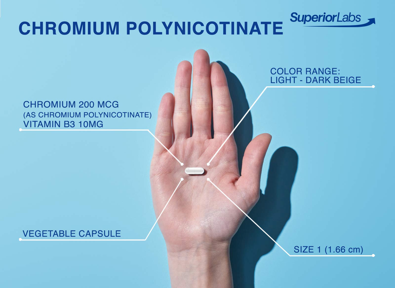 Pure Chromium Polynicotinate Supplement - Made in USA - 200mcg + Vitamin B3 for Optimal Superior Labs buy supplements canada