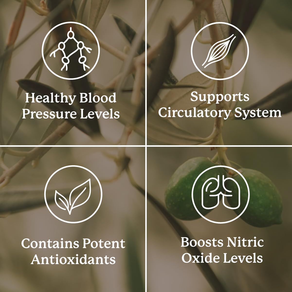 Nature's Sunshine Blood Pressurex 60 Capsules Nature's Sunshine buy supplements canada