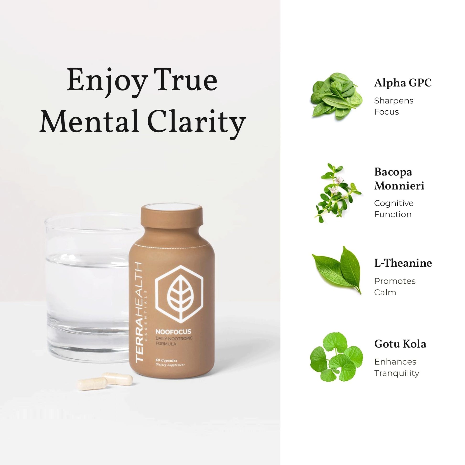 Terra Health Essentials NOOFOCUS - Nootropics Brain Support Supplement with Adaptogenic Mushrooms, Alpha-GPC, Gotu Kola, L-Theanine for Focus & Memory - All Natural, 30 Day Supply Terra Health Essentials buy supplements canada