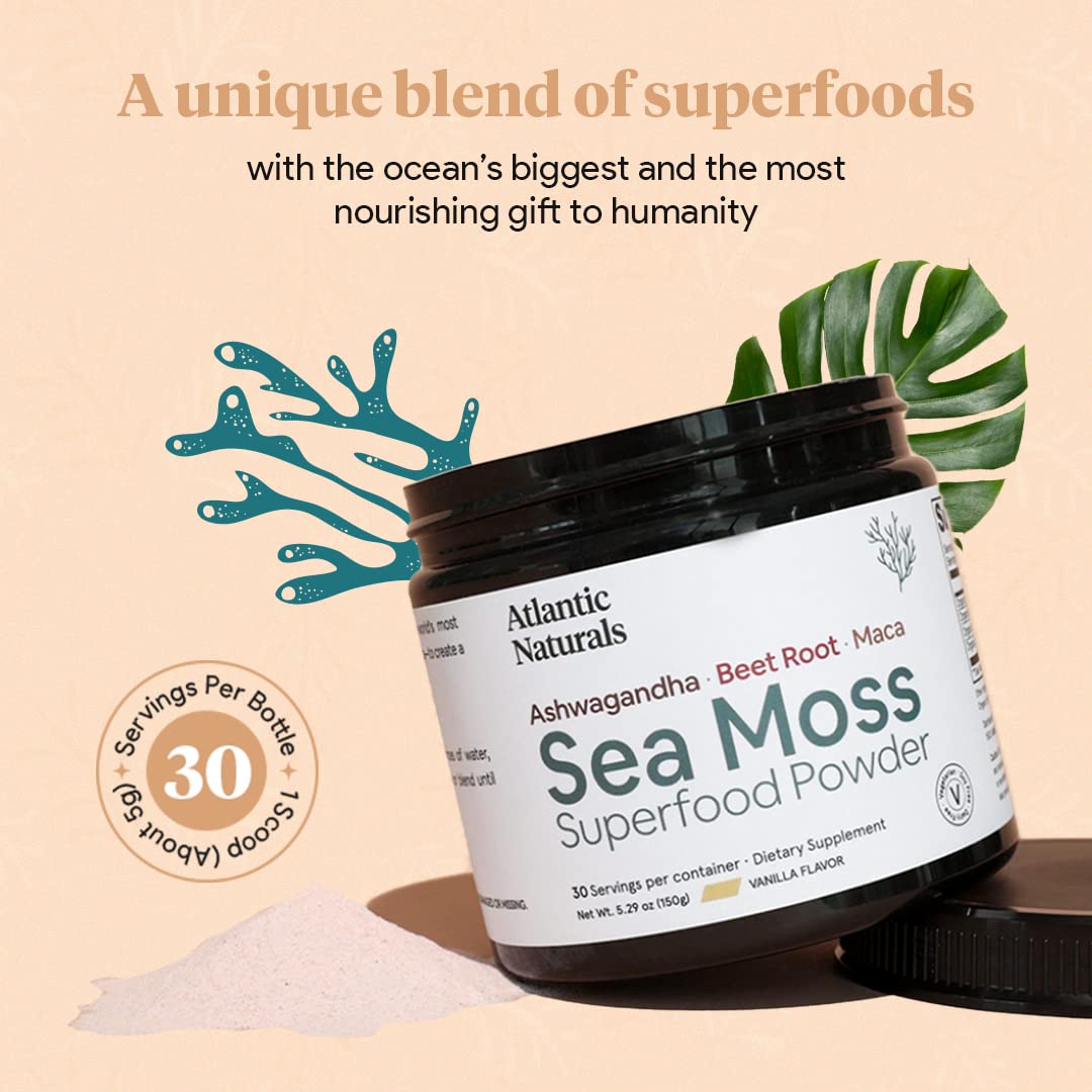 Organic Sea Moss Superfood Powder with Ashwagandha, Beet Root, and Maca Atlantic Naturals buy supplements canada