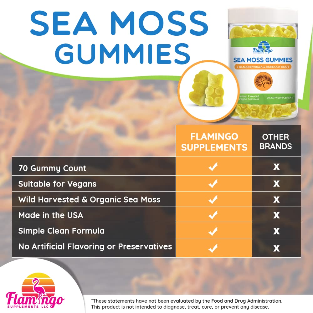 Sea Moss Gummies Plus Organic Bladderwrack and Burdock Root. Tasty Alternative to Sea Flamingo Supplements buy supplements canada