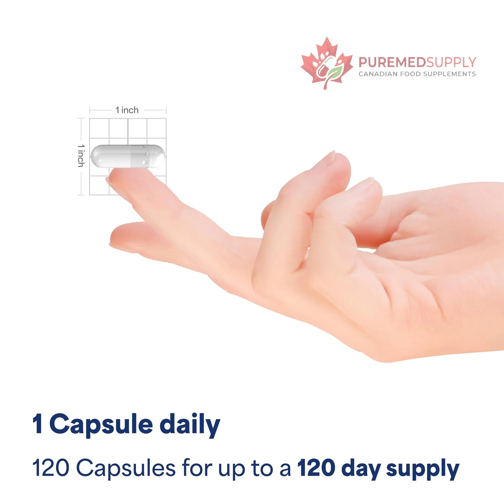Puritan's Pride Triple Magnesium Complex with Magnesium Oxide, Aspartate, and Citrate 400mg, Dietary Supplement for Muscle, Heart, Nerve, and Bone Support, 120 Rapid Release Capsules Puritan's Pride buy supplements canada