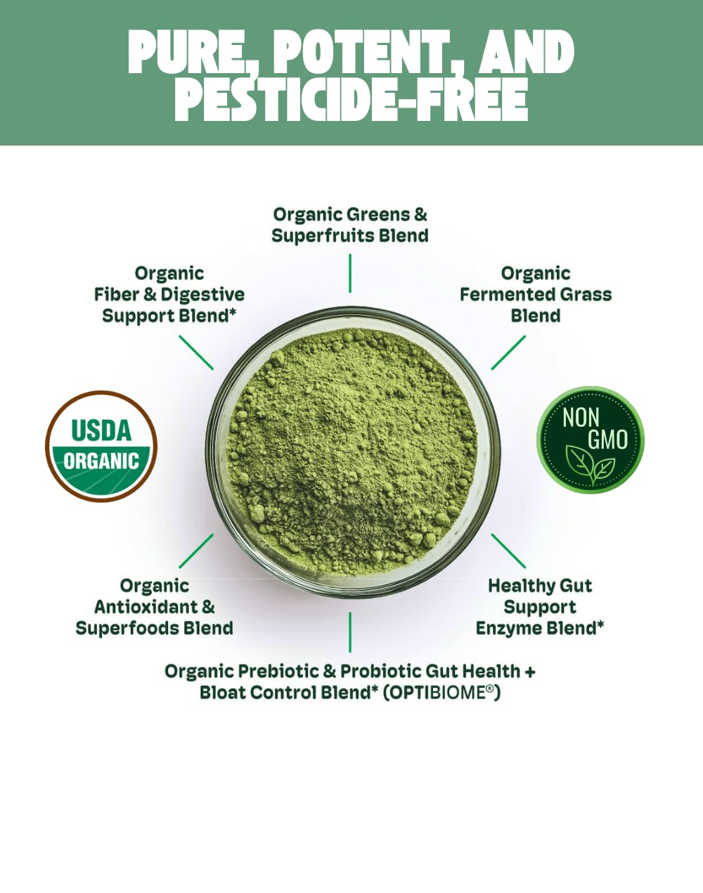 Cheerific Green Apple Bliss Superfood Powder - 20+ Organic Superfoods + Prebiotic & Probiotics + More - Keto Friendly - Supports Positive Mood, Gut Health - Vegan, Gluten Free, Non-GMO - 30 Day Supply Cheerific buy supplements canada