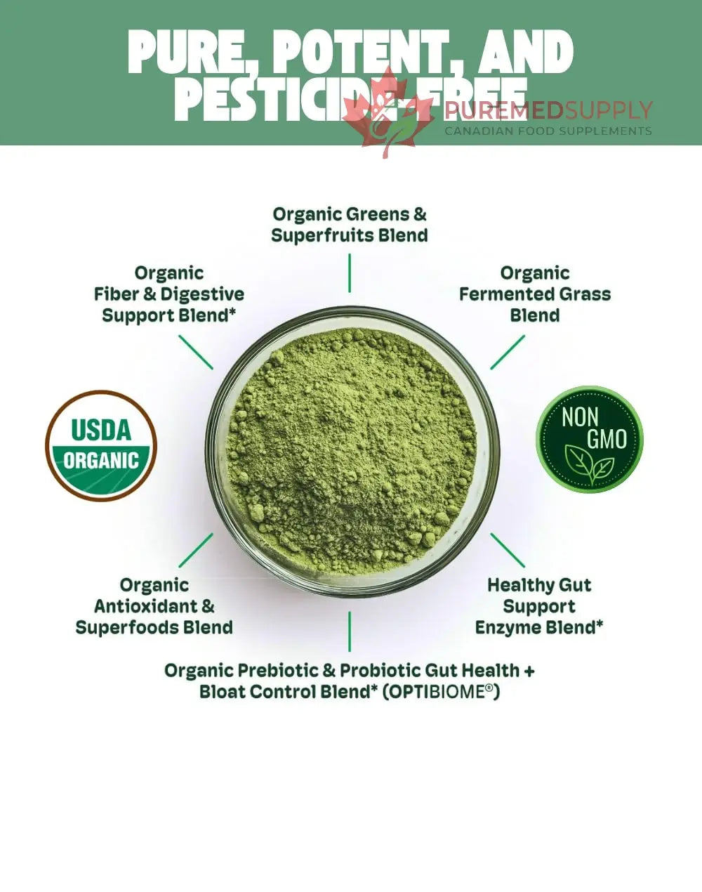 Cheerific Crisp Apple Greens Superfood Powder - 20+ Organic Superfoods + Prebiotic & Probiotics + More - Keto Friendly - Supports Positive Mood, Gut Health - Vegan, Gluten Free, Non-GMO - 30 Day Cheerific buy supplements canada