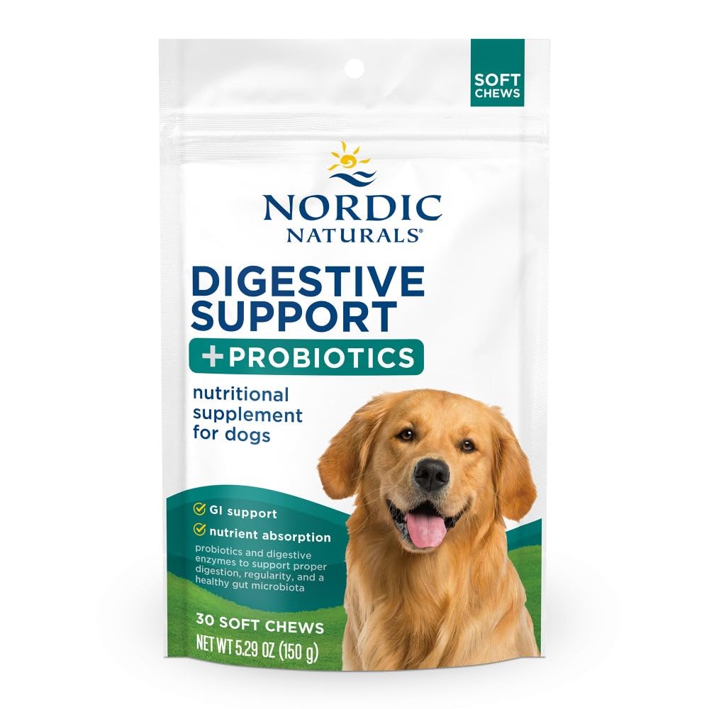 Nordic Naturals Pet Digestive Support with Probiotics, Pork Bone Broth Flavor - 30 Soft Chews - Nutritional Supplement for a Healthy Digestive System and GI Support - 30 Non-GMO Chews Nordic Naturals buy supplements canada