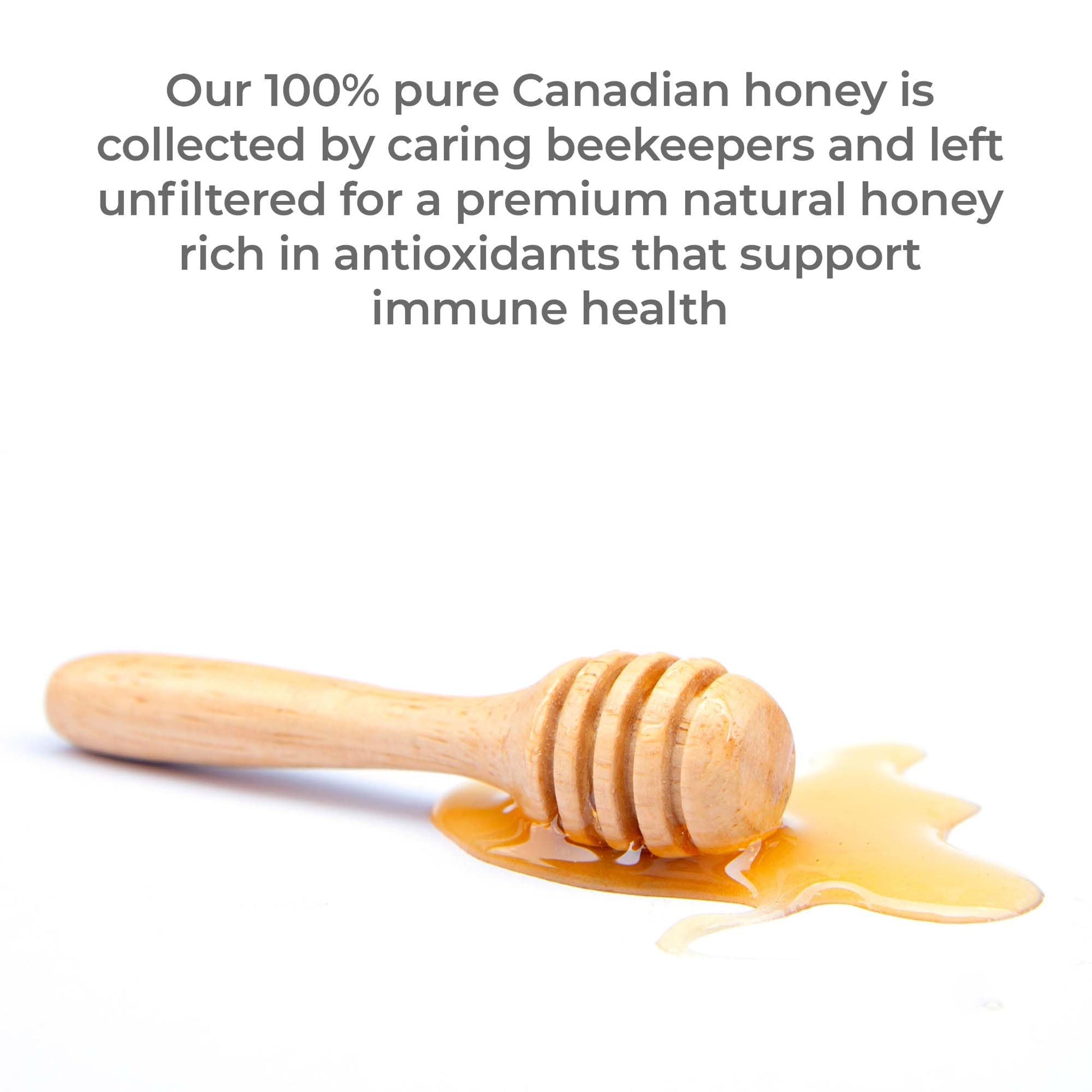 Premier Research Labs Canadian Gold Honey - Raw Honey, Pure Honey, Raw Unpasteurized Honey, Unfiltered, 100% Pure, Sugar-Free, Unprocessed Wildflower Honey - 1 lb Jar Premier Research Labs buy supplements canada