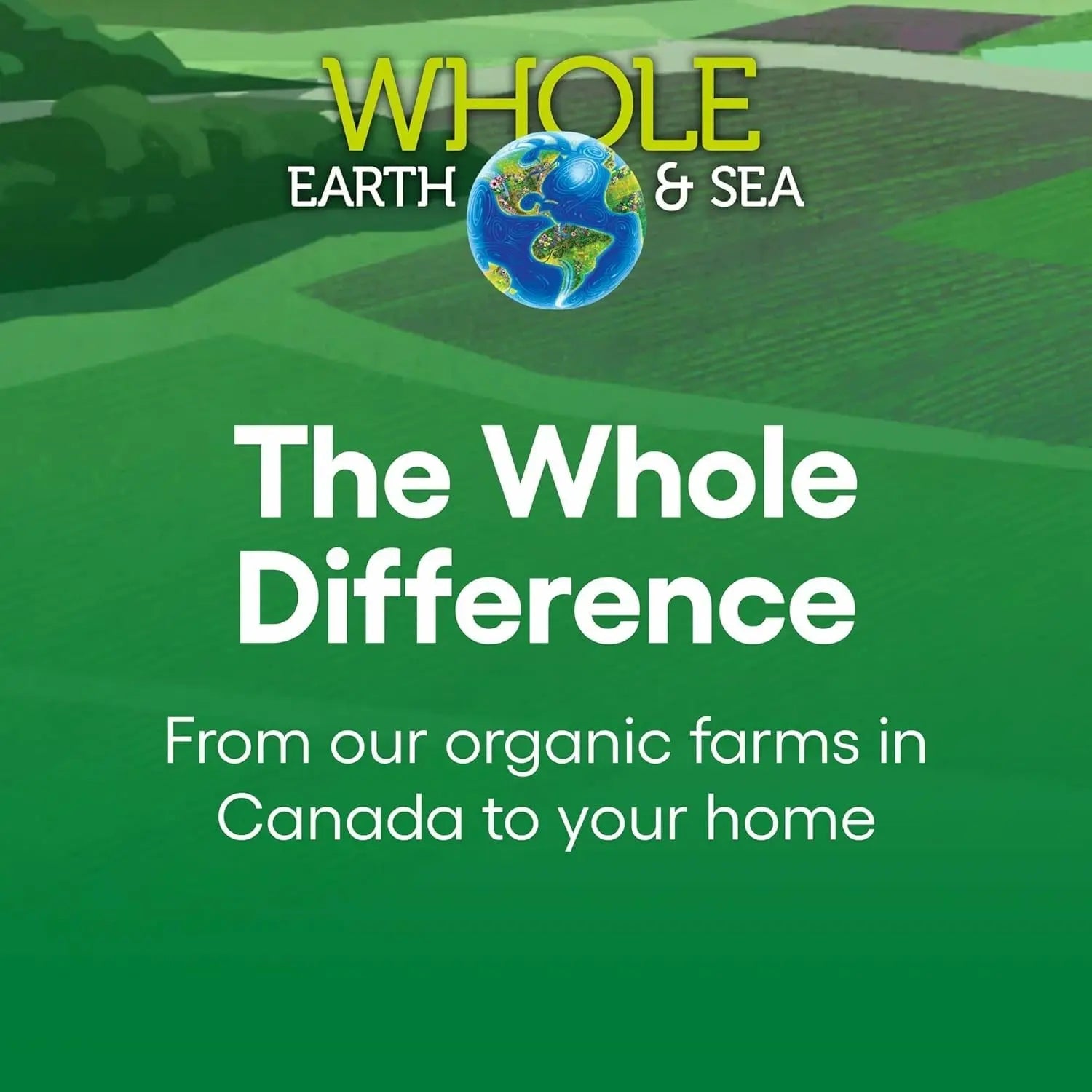 Natural Factors Whole Earth & Sea Women's 50+ Multivitamin & Mineral - Daily Multivitamin with Calcium, Selenium & More Natural Factors buy supplements canada