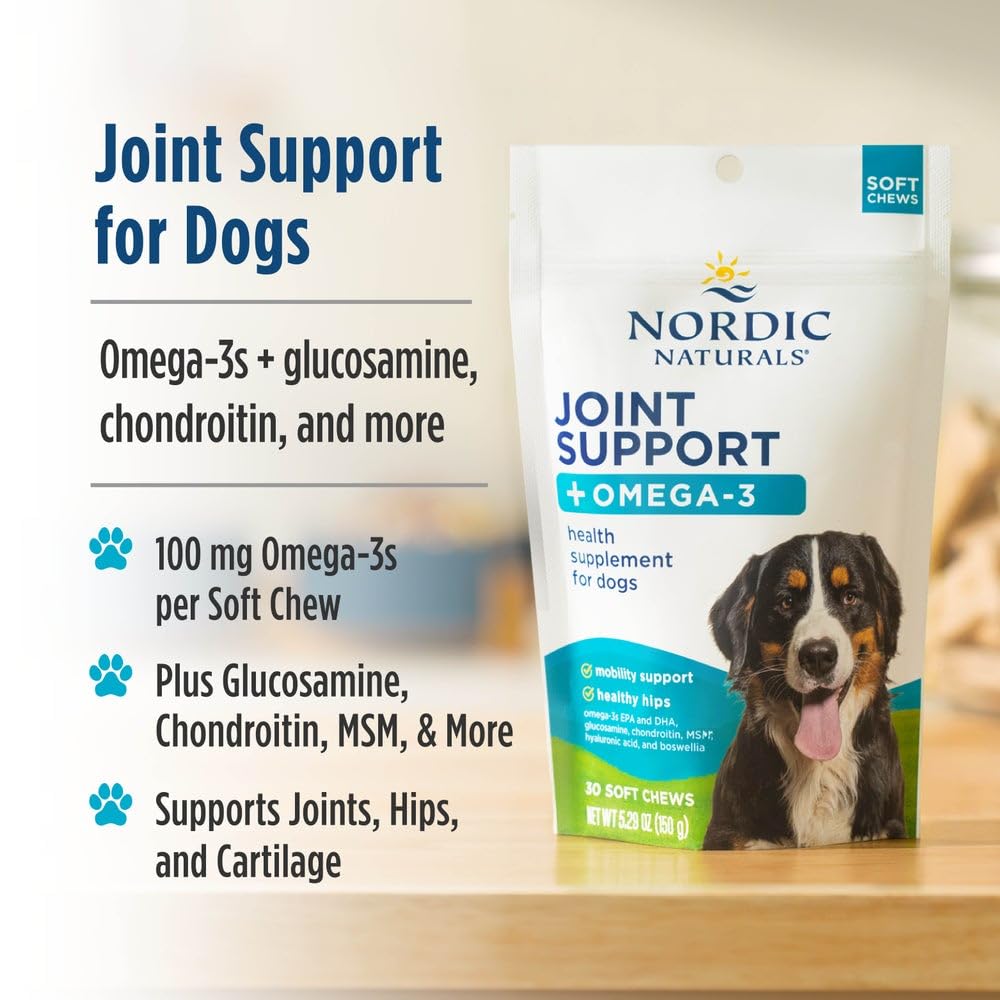 Nordic Naturals Pet Joint Support + Omega 3 Soft Chews for Dogs, Pork Bone Broth Flavored - Promotes Mobility, Hip and Joint Support with Omega-3 Fish Oil, MSM, EPA & DHA - 30 Non-GMO Chews Nordic Naturals buy supplements canada