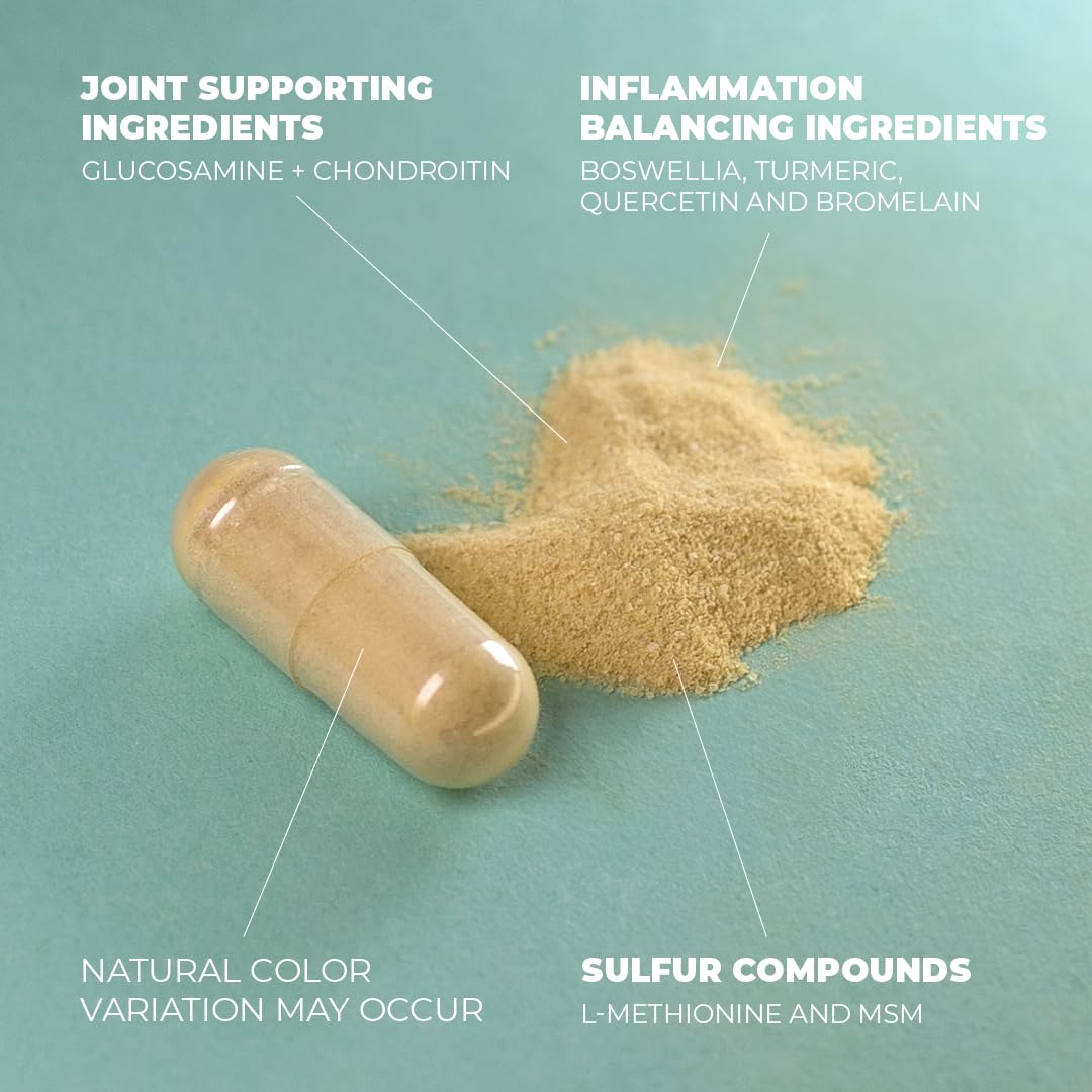 Glucosamine Chondroitin MSM Turmeric Boswellia - Joint Support Supplement. Antioxidant Vimerson Health buy supplements canada