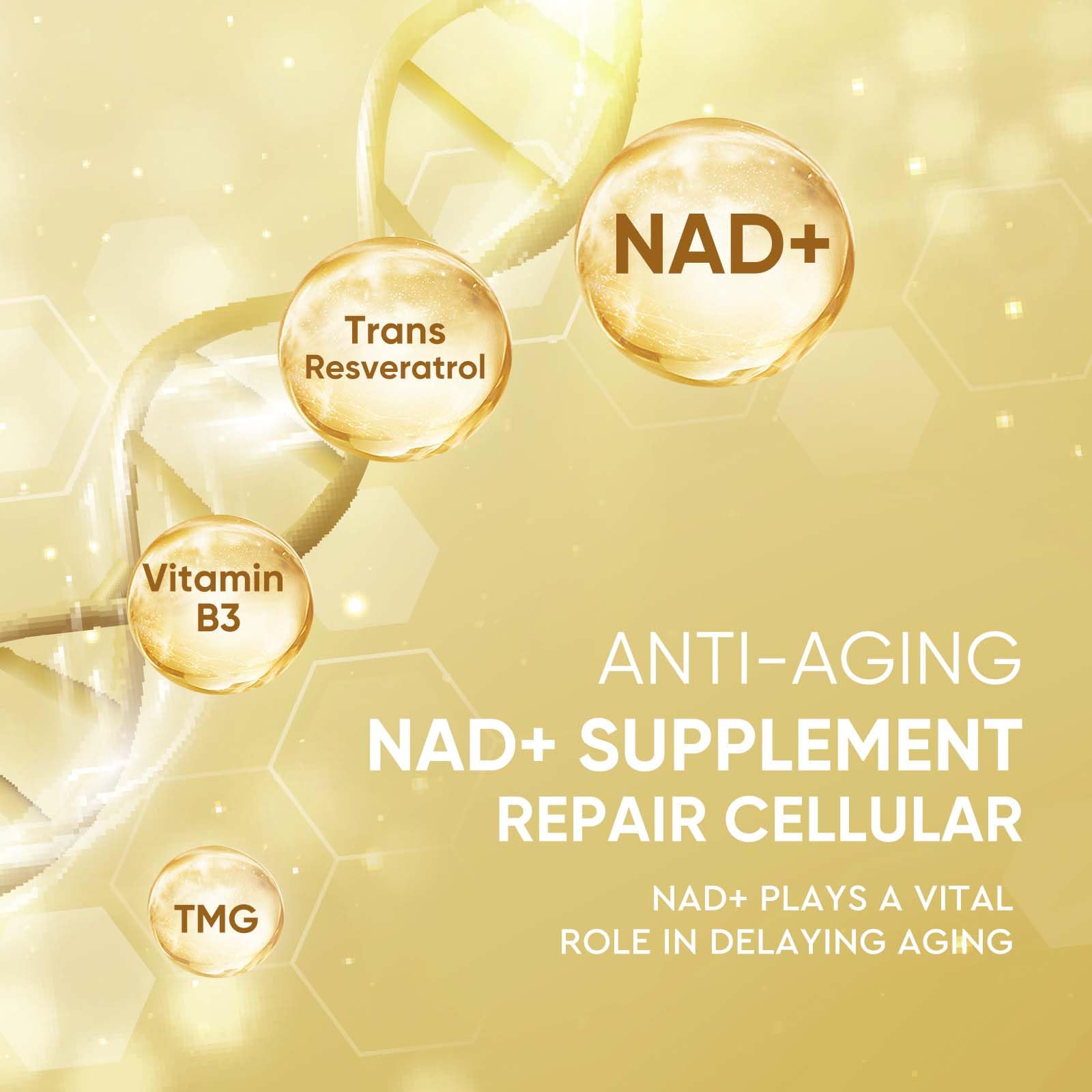 Life Nutrition NAD+ Supplement 1000 mg - 120 Capsules True NAD+ & Resveratrol, NMN Alternative Supports Anti-Aging, Cellular Energy & Repair, Metabolism & Brain Boost for Men & Women Life Nutrition buy supplements canada