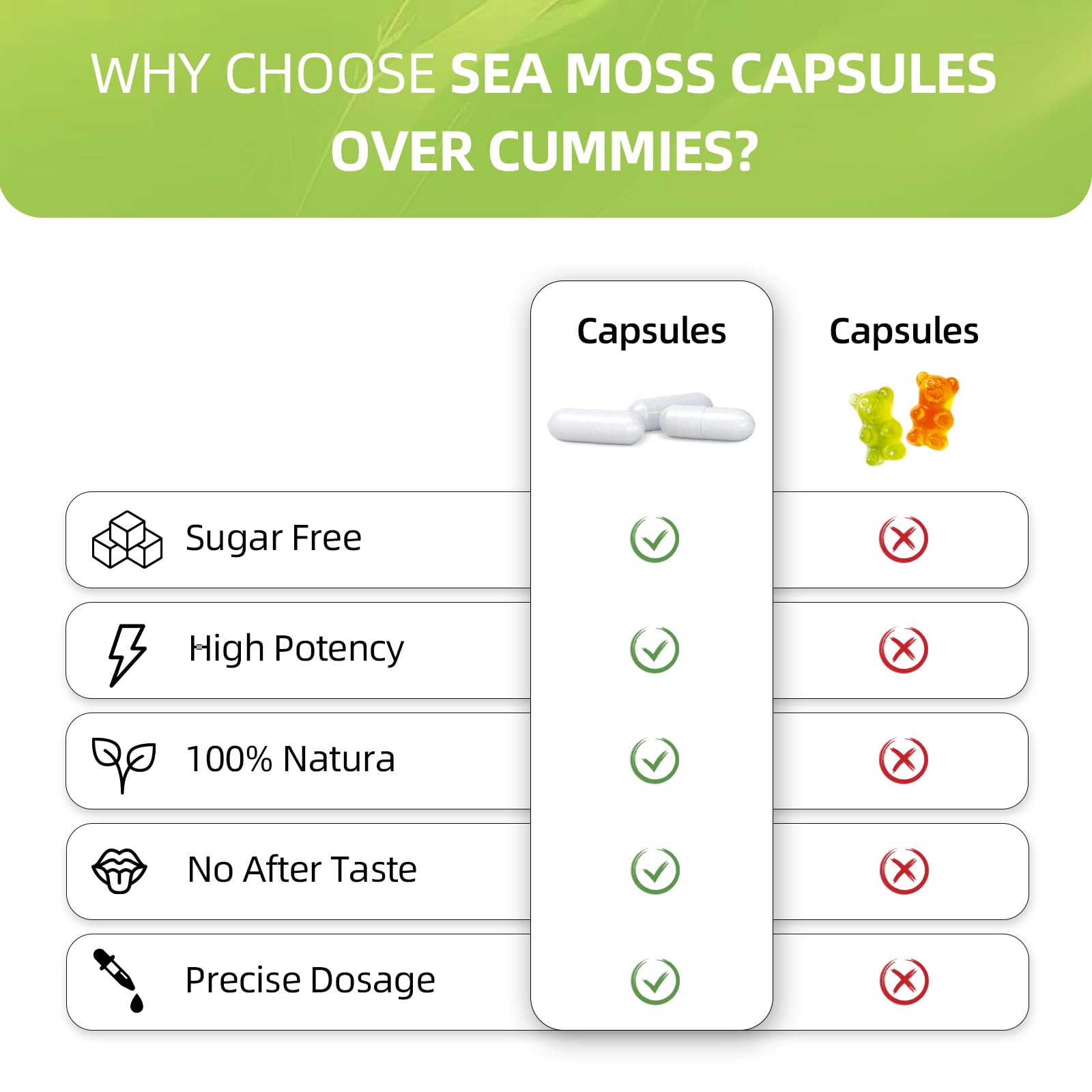HEALOADING Sea Moss Capsules：Wildcrafted Organic Irish Seamoss & Bladderwack - Rich in Minerals, Supports Thyroid Health, Digestion, Skin & Immune System - Vegan, Non-GMO HEALOADING buy supplements canada
