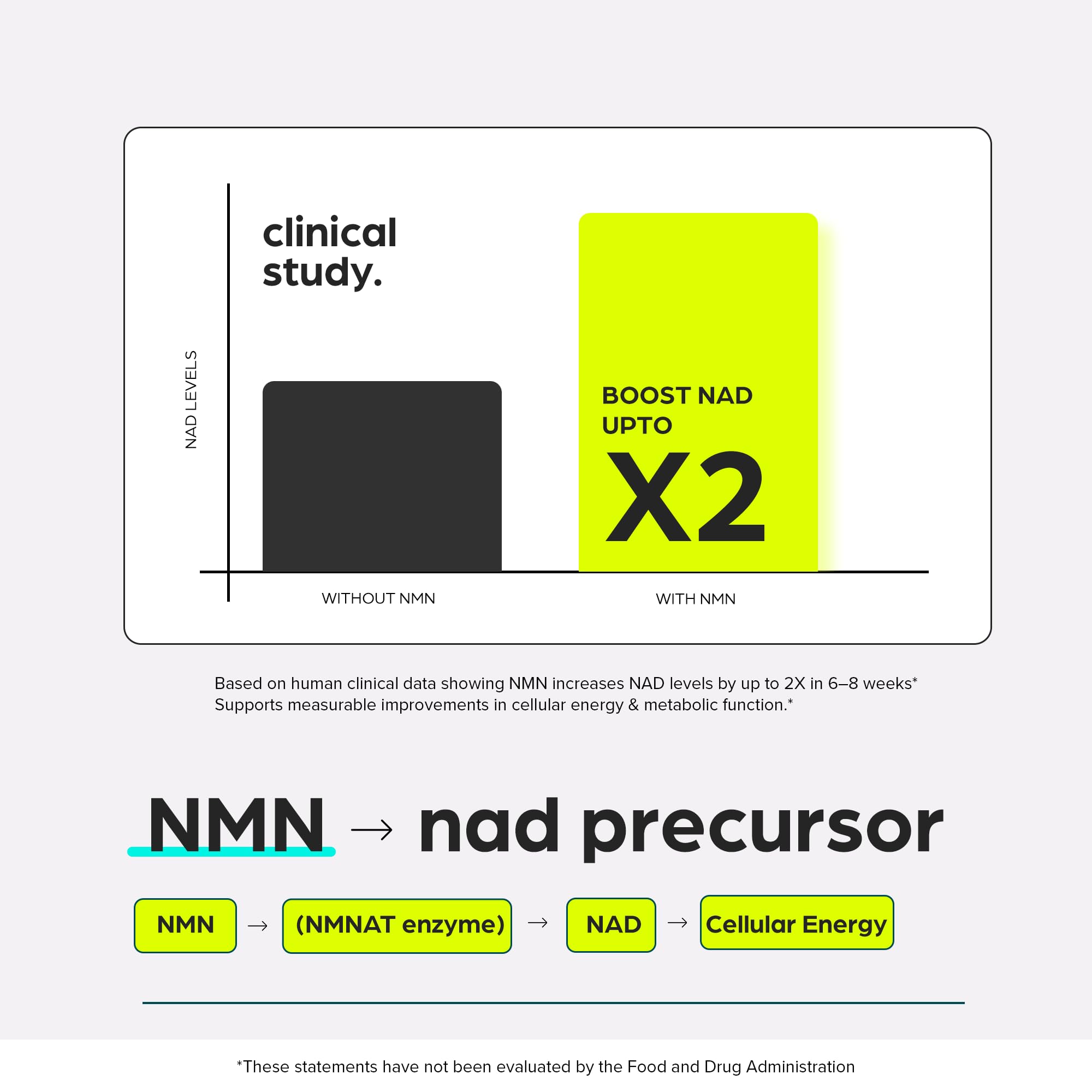 NMN Supplement 8957mg with Real NAD+ Not Just a Booster | Urolithin A, Resveratrol, CoQ10, Alpha Lipoic Acid, Green Tea Extract | Cellular Longevity & Energy Support for Men & Women Thinbi buy supplements canada
