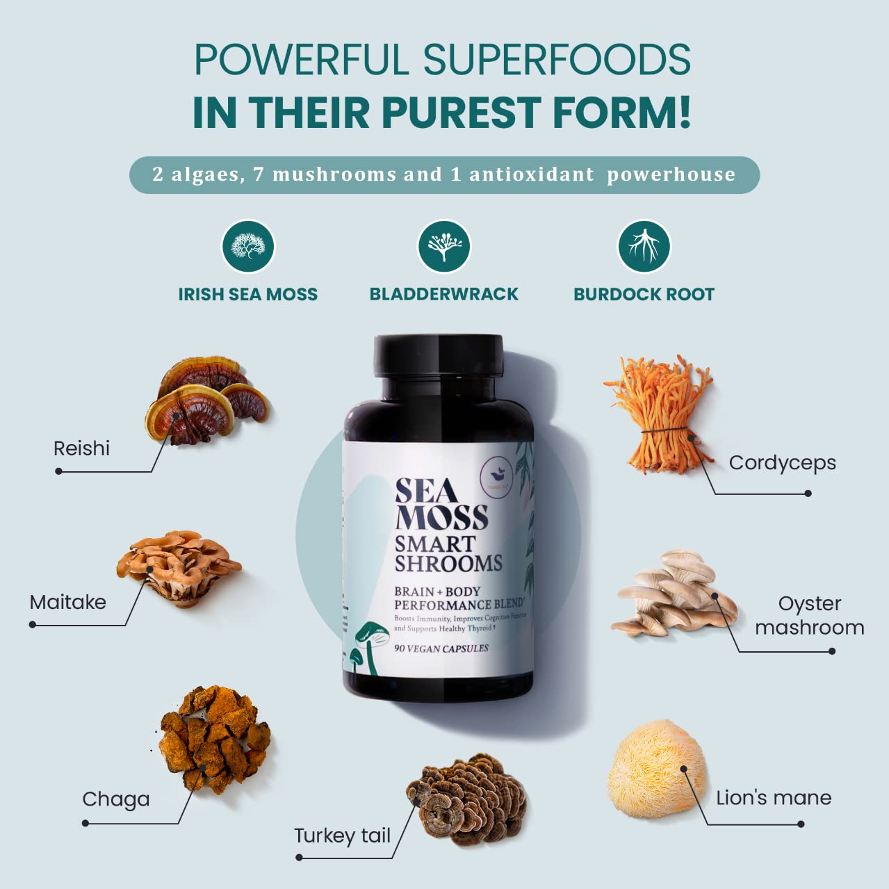 HAPPY FOX Irish Sea Moss Capsules & Mushroom Complex - Organic Seamoss with Adaptogens for Brain Health, 1500mg, 90 Vegan Capsules, Organic Mushroom Supplement HAPPY FOX buy supplements canada