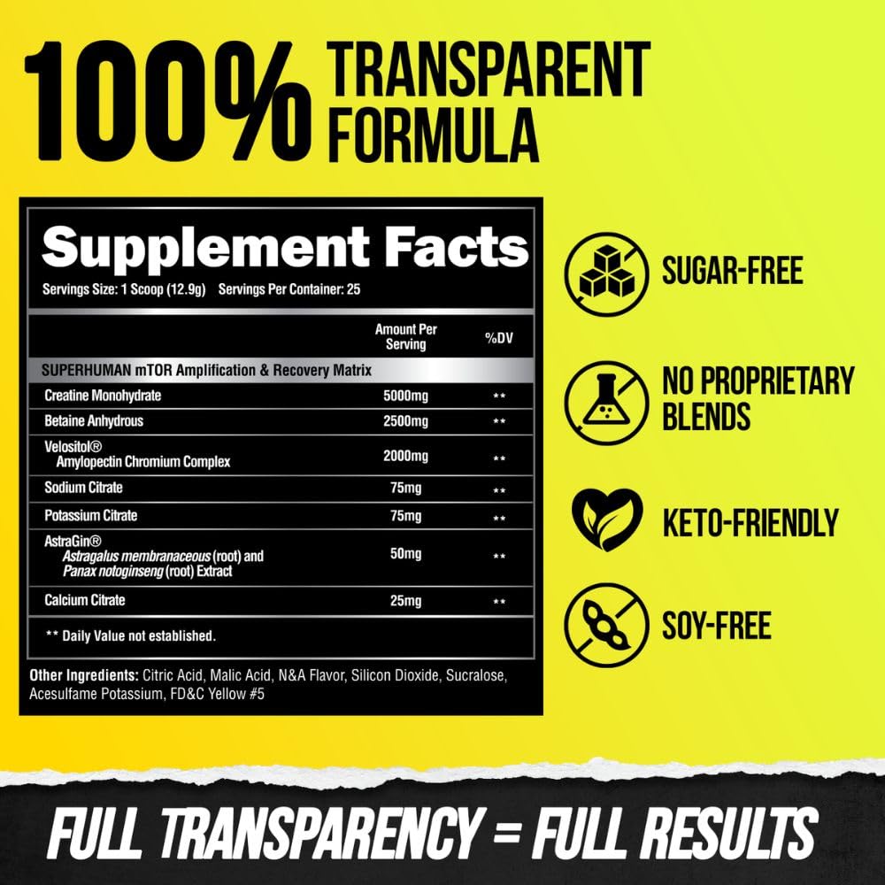 ALPHA LION Superhuman Pre Workout Powder & Post Workout Recovery Bundle, Sustained ALPHA LION buy supplements canada