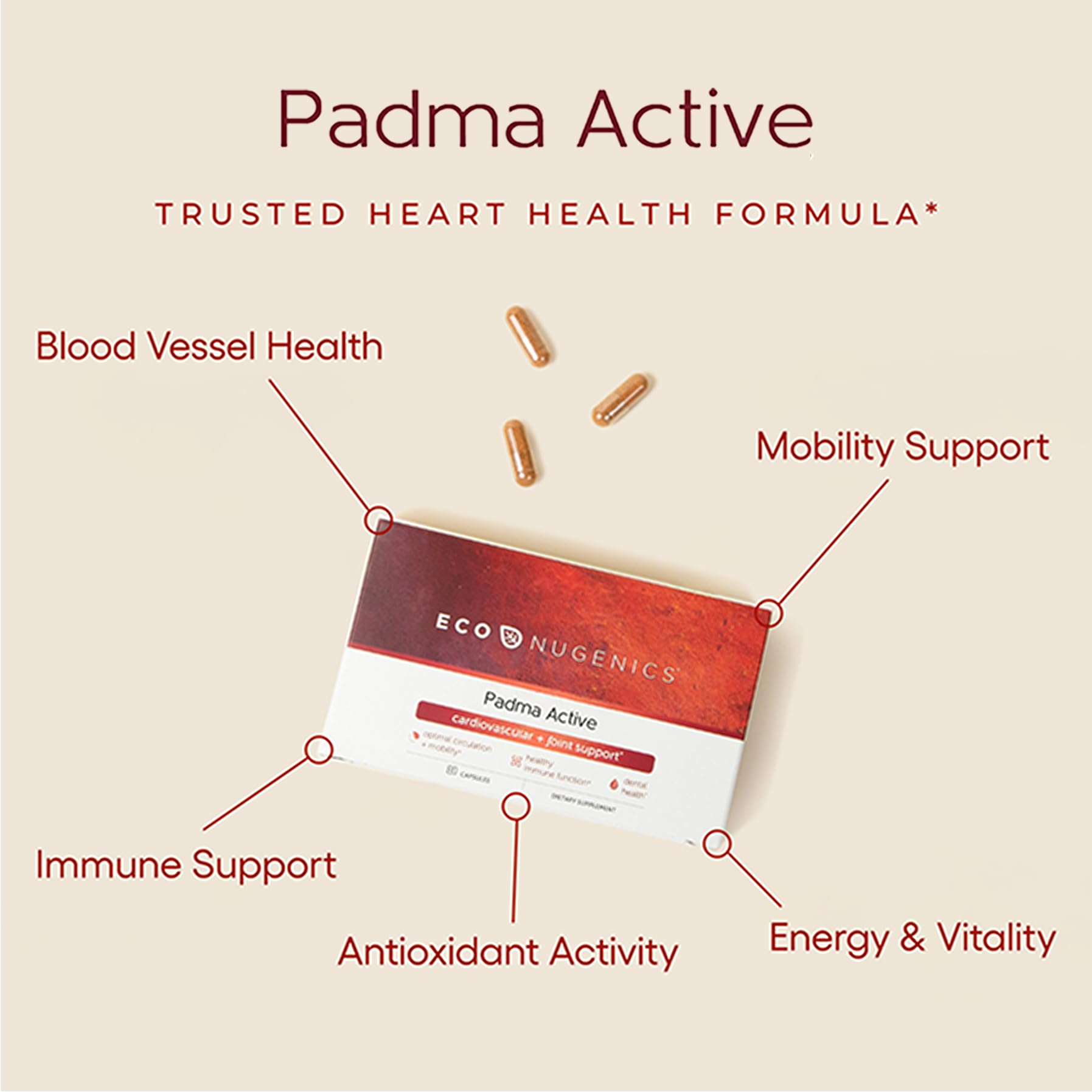EcoNugenics Padma Active for Women & Men: Vitamin C Supplement for Collagen Formation, Energy Levels, and Immune System, Cellular & Antioxidant Support – Tibetan Recipe of Natural Herbs & Minerals EcoNugenics buy supplements canada