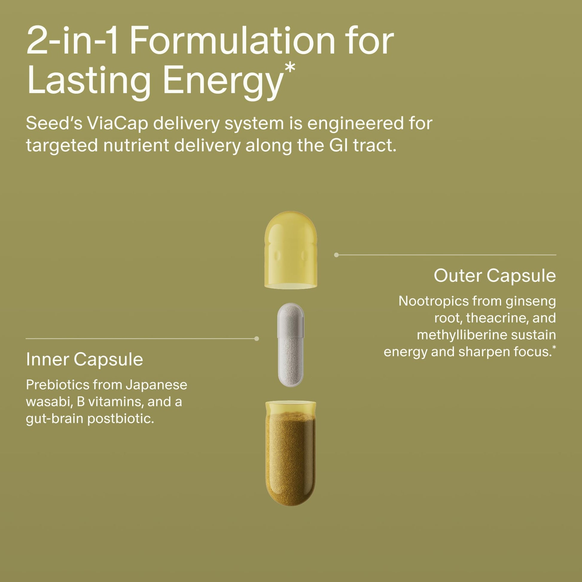 Seed AM-02 Energy + Focus - Daily Nootropic Supplement for Women & Men - Fast-Acting & Sustained Energy for Up to 6 Hours - Caffeine-Free Vegan & Shelf-Stable - 30 Capsules (30-Day Supply) Visit the Seed Store buy supplements canada