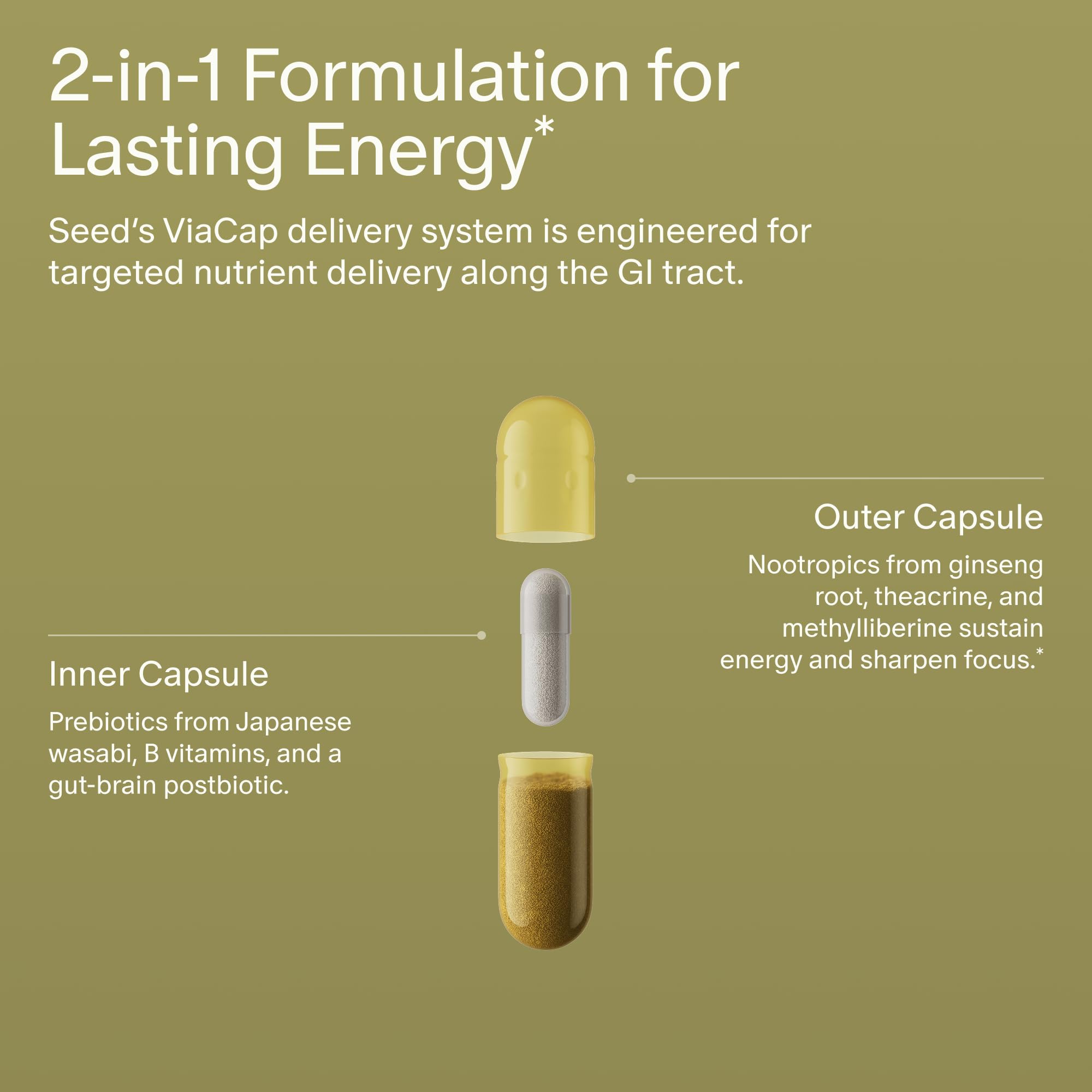 Seed AM-02 Energy + Focus - Daily Nootropic Supplement for Women & Men - Fast-Acting & Sustained Energy for Up to 6 Hours - Caffeine-Free Vegan & Shelf-Stable - 30 Capsules (30-Day Supply) Visit the Seed Store buy supplements canada