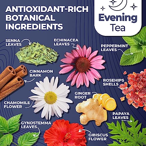 Total Tea Detox Tea & Energy Tea Set - 25 Day Detox Tea - Herbal SIim Tea Total Tea buy supplements canada