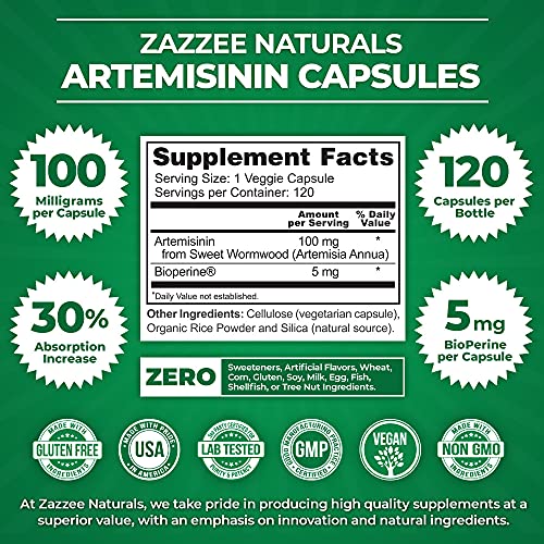 Zazzee High Absorption Artemisinin, 100 mg per Capsule, 120 Vegan Capsules, with 5 mg Zazzee buy supplements canada