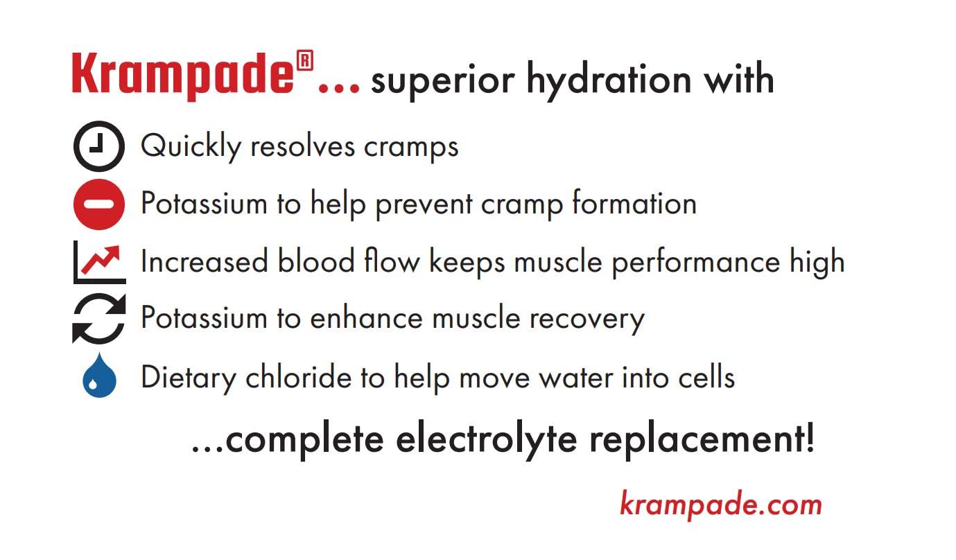 Krampade Original Lemon Lime 4K, 4000 mg Potassium Instant Cramp Relief Electrolyte Drink Powder | Designed for Athletes and Crampers | 19-Serving Resealable Pouch Krampade buy supplements canada