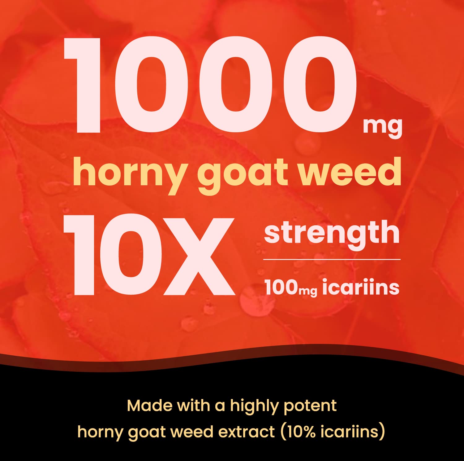 NutraChamps Horny Goat Weed, 1000mg Epimedium Energy Supplement, 10X Strength Icariin, Ginseng, Tribulus & Maca Pills for Women & Men, Enhanced Absorption with Black Pepper, 60 Vegan Capsules NutraChamps buy supplements canada