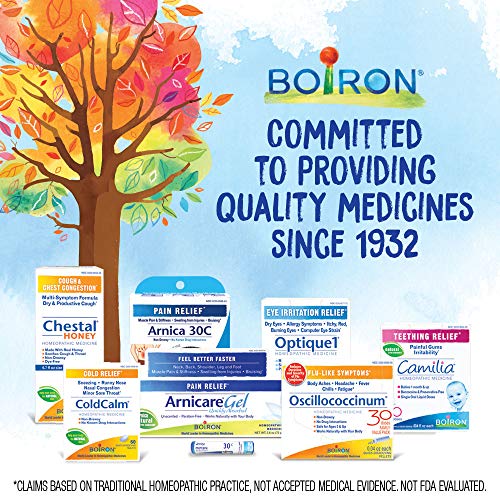 Boiron Bryonia 6X Homeopathic Medicine for Muscle & Joint Pain - 80 Pellets Boiron buy supplements canada